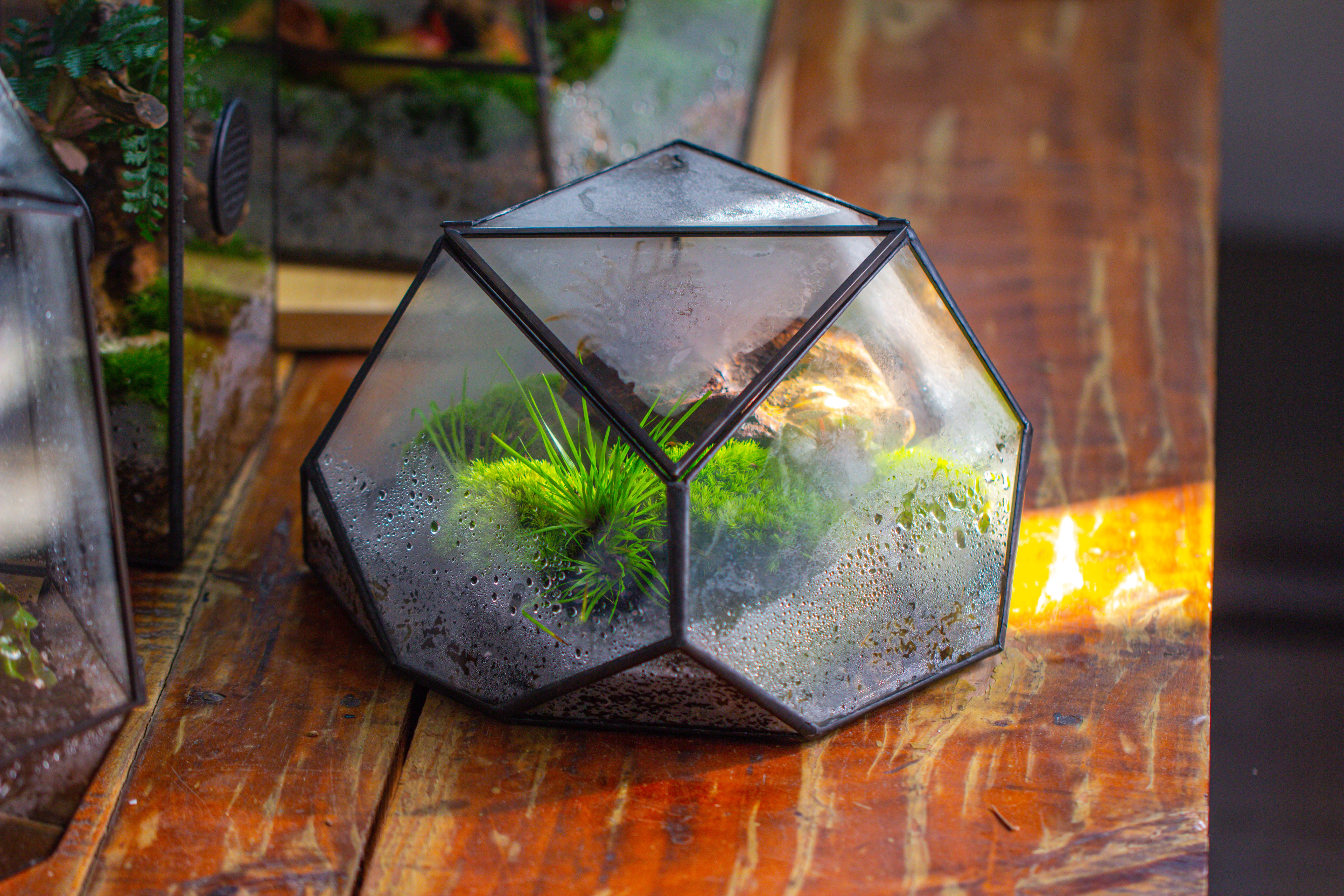 Geometric Terrarium Irregular, handmade,Tin and Glass - NCYPgarden