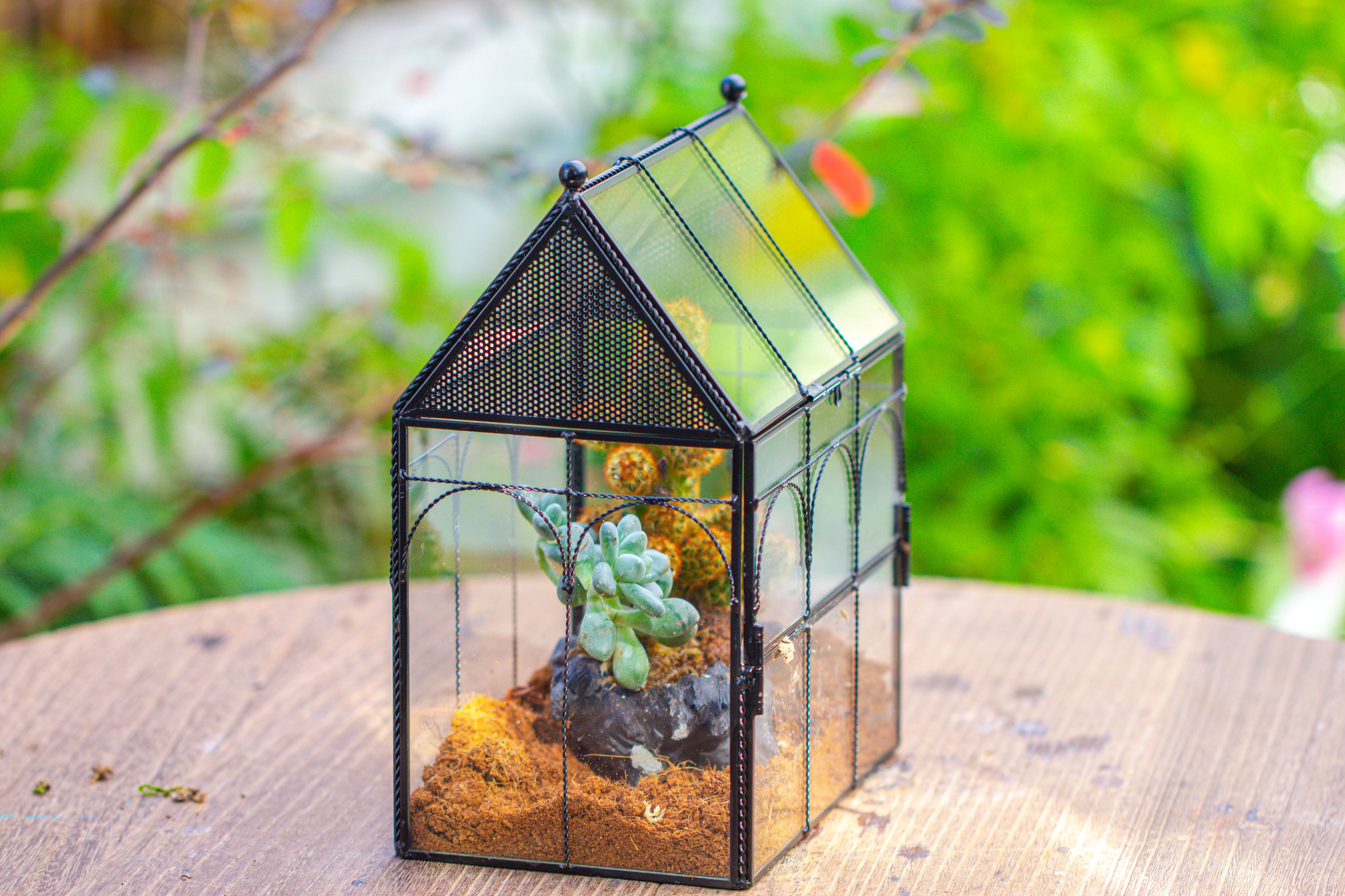 NCYP Vintage House Shape Glass Geometric Terrarium, with side door, with Mesh vent holes for small Insects Pet - NCYPgarden