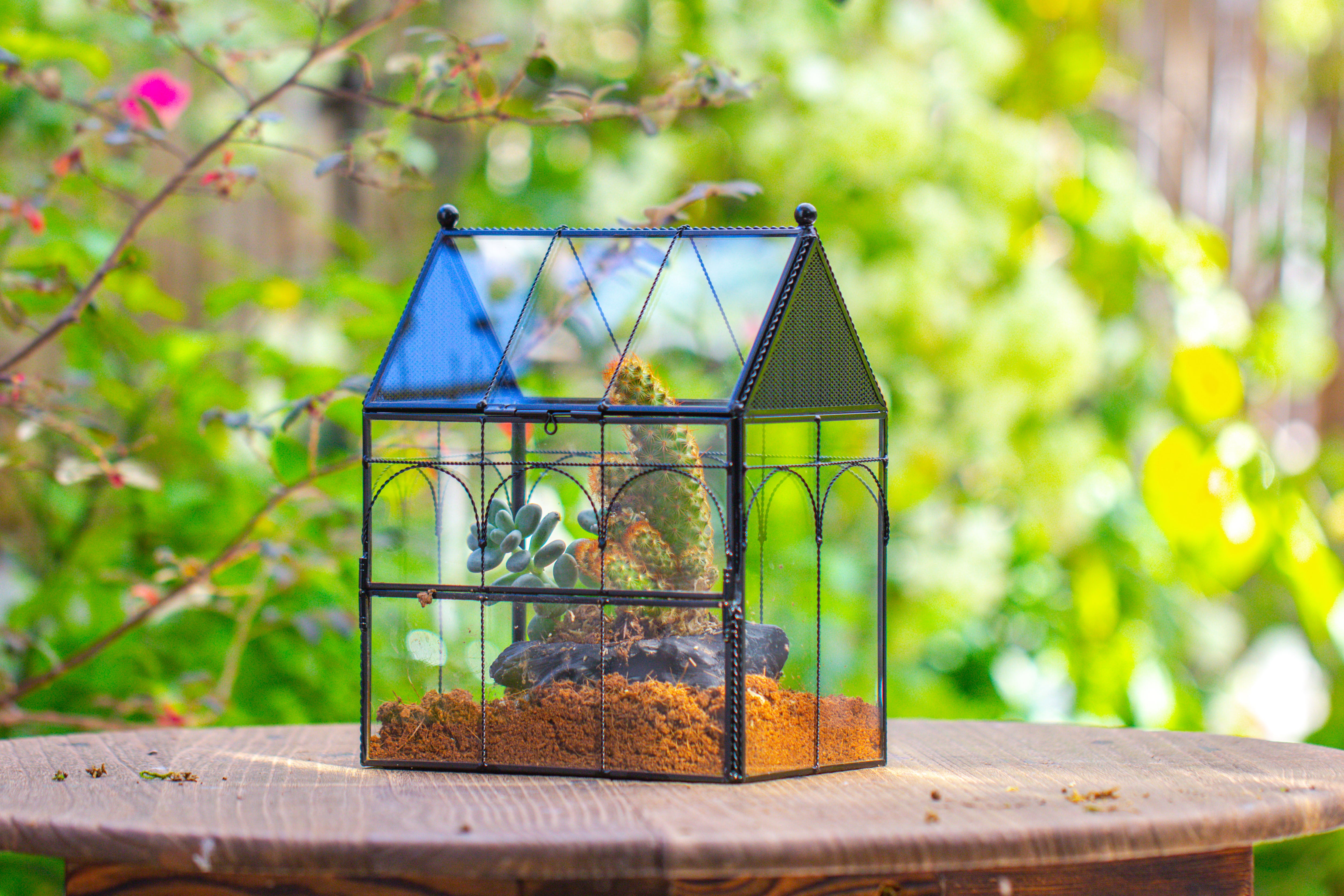 NCYP Vintage House Shape Glass Geometric Terrarium, with side door, with Mesh vent holes for small Insects Pet - NCYPgarden