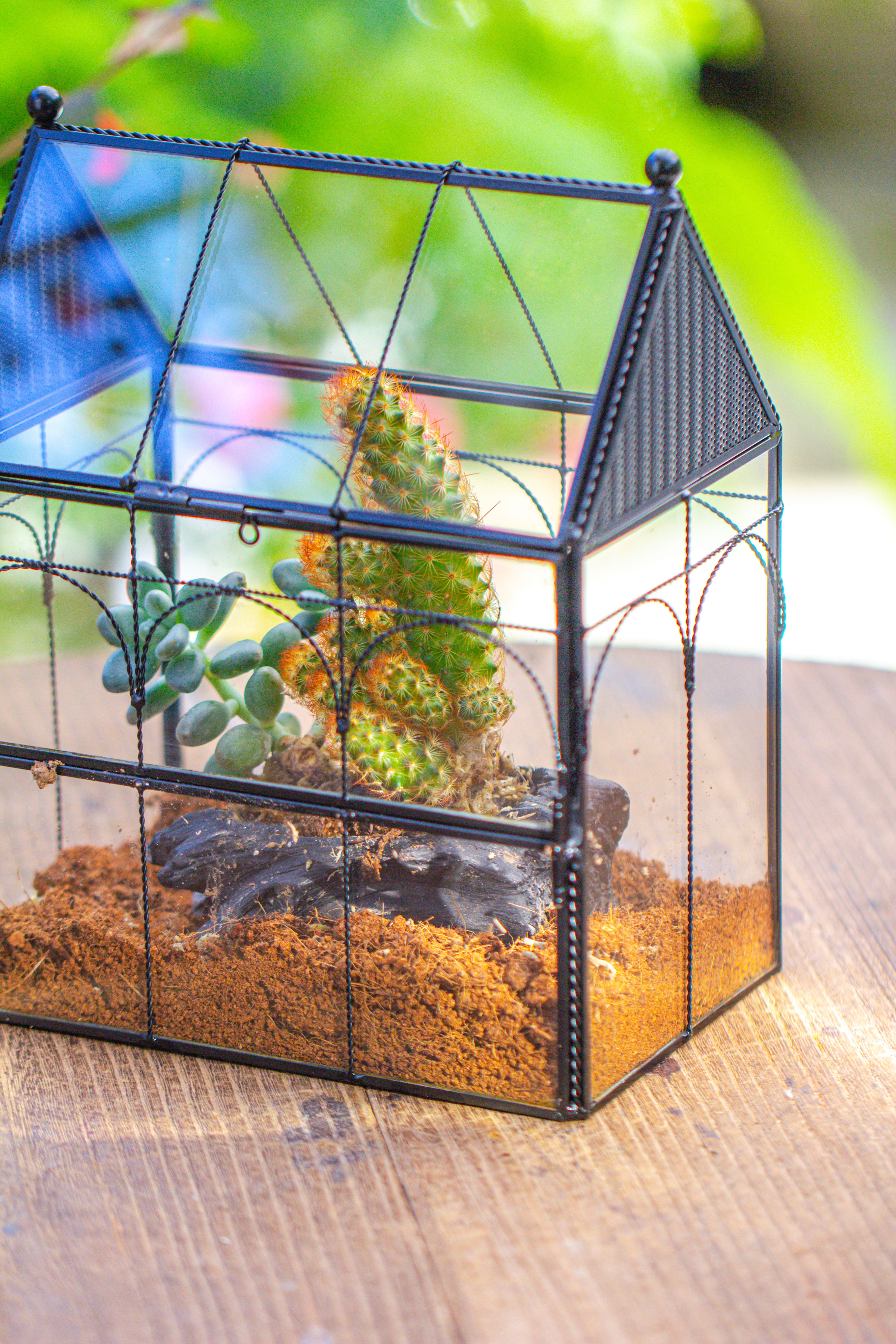 NCYP Vintage House Shape Glass Geometric Terrarium, with side door, with Mesh vent holes for small Insects Pet - NCYPgarden