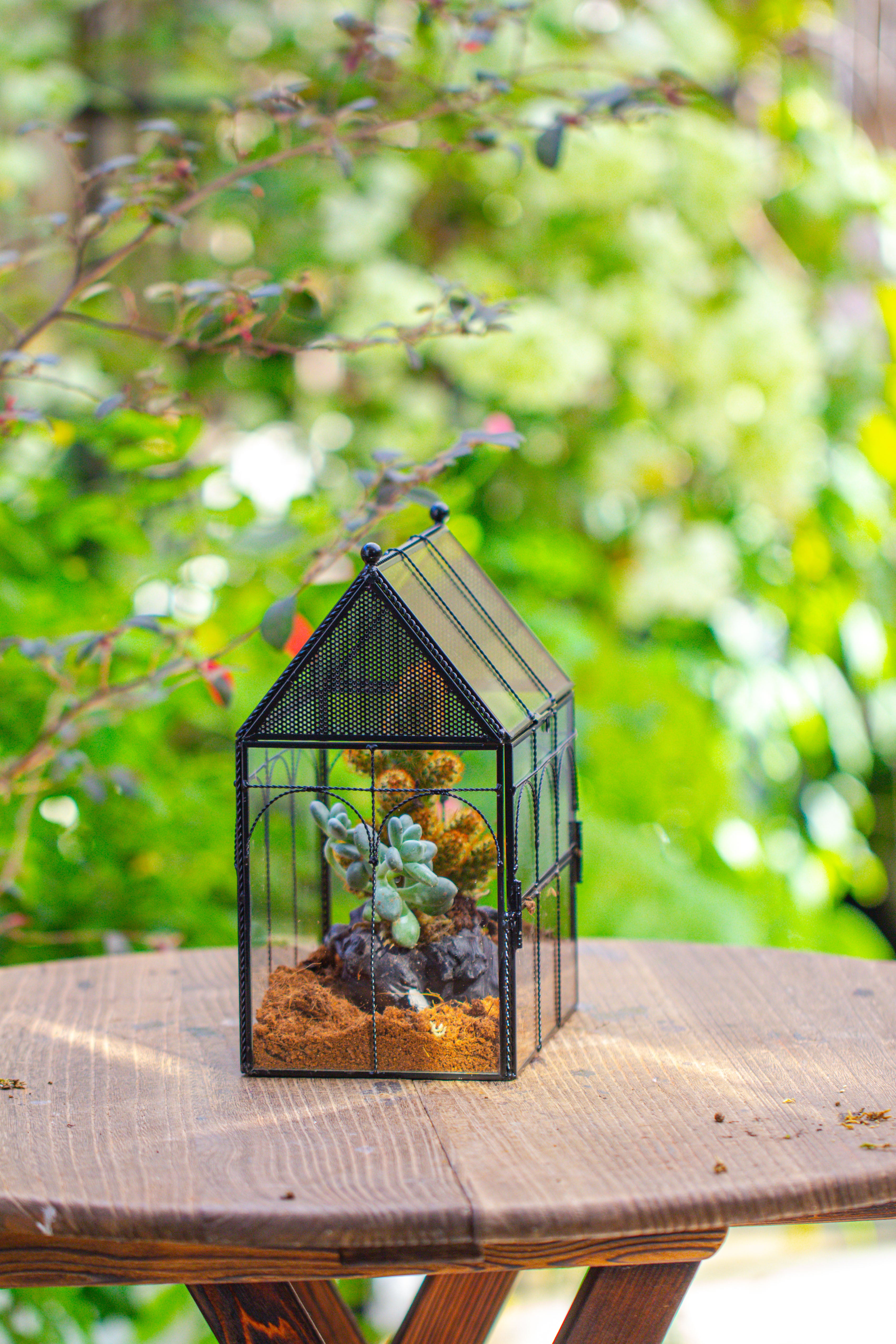 NCYP Vintage House Shape Glass Geometric Terrarium, with side door, with Mesh vent holes for small Insects Pet - NCYPgarden