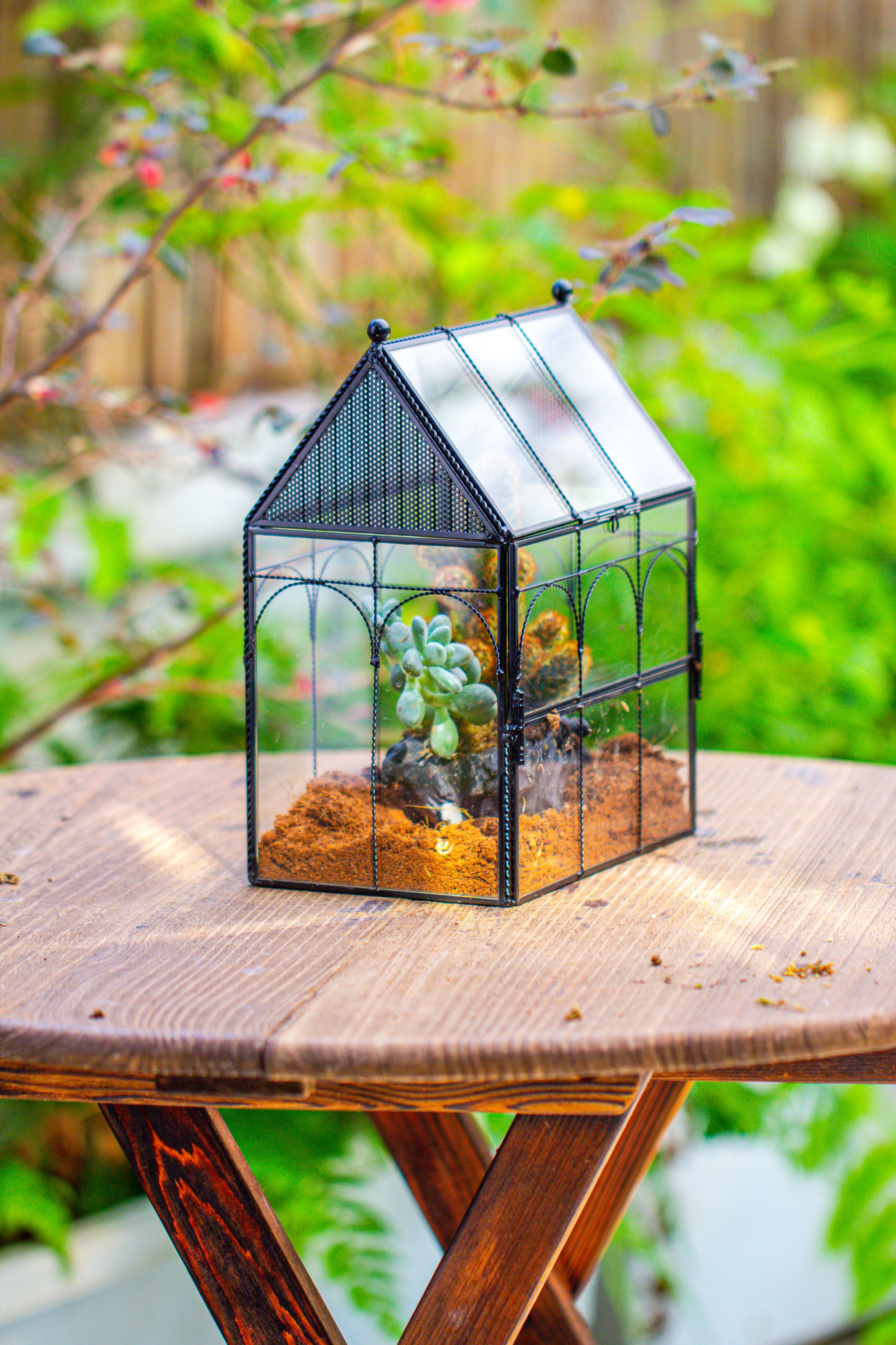 NCYP Vintage House Shape Glass Geometric Terrarium, with side door, with Mesh vent holes for small Insects Pet - NCYPgarden