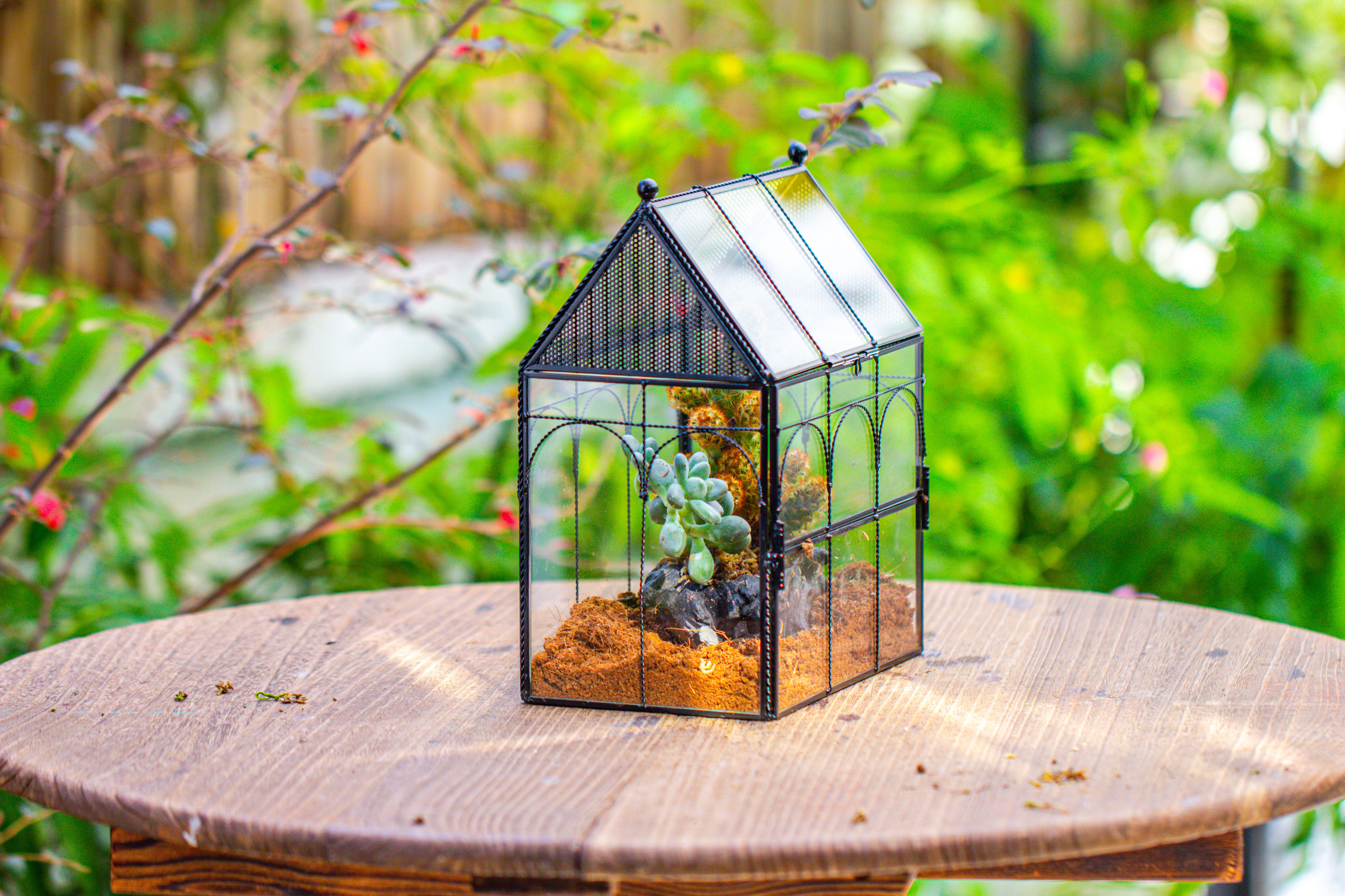 NCYP Vintage House Shape Glass Geometric Terrarium, with side door, with Mesh vent holes for small Insects Pet - NCYPgarden