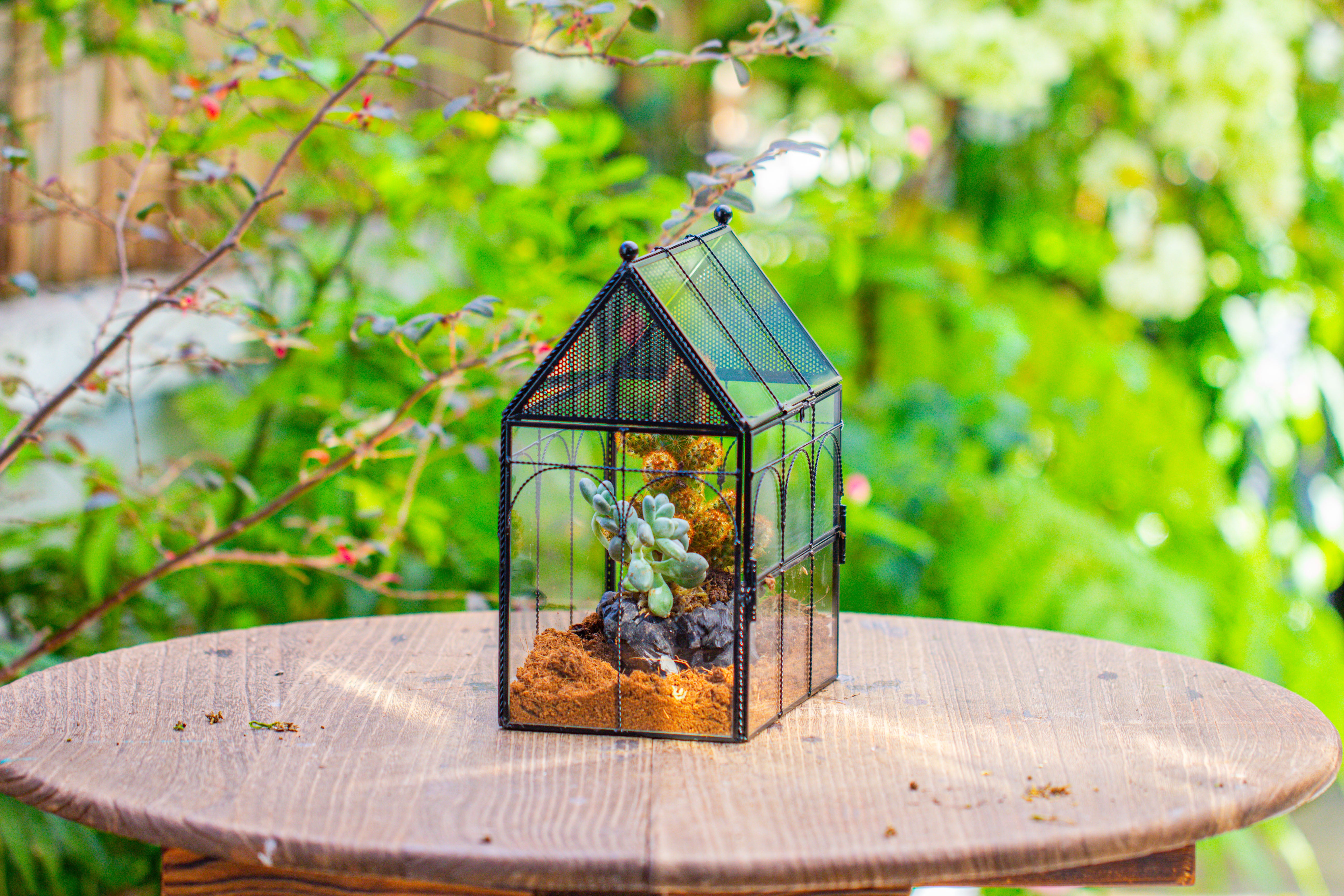 NCYP Vintage House Shape Glass Geometric Terrarium, with side door, with Mesh vent holes for small Insects Pet - NCYPgarden