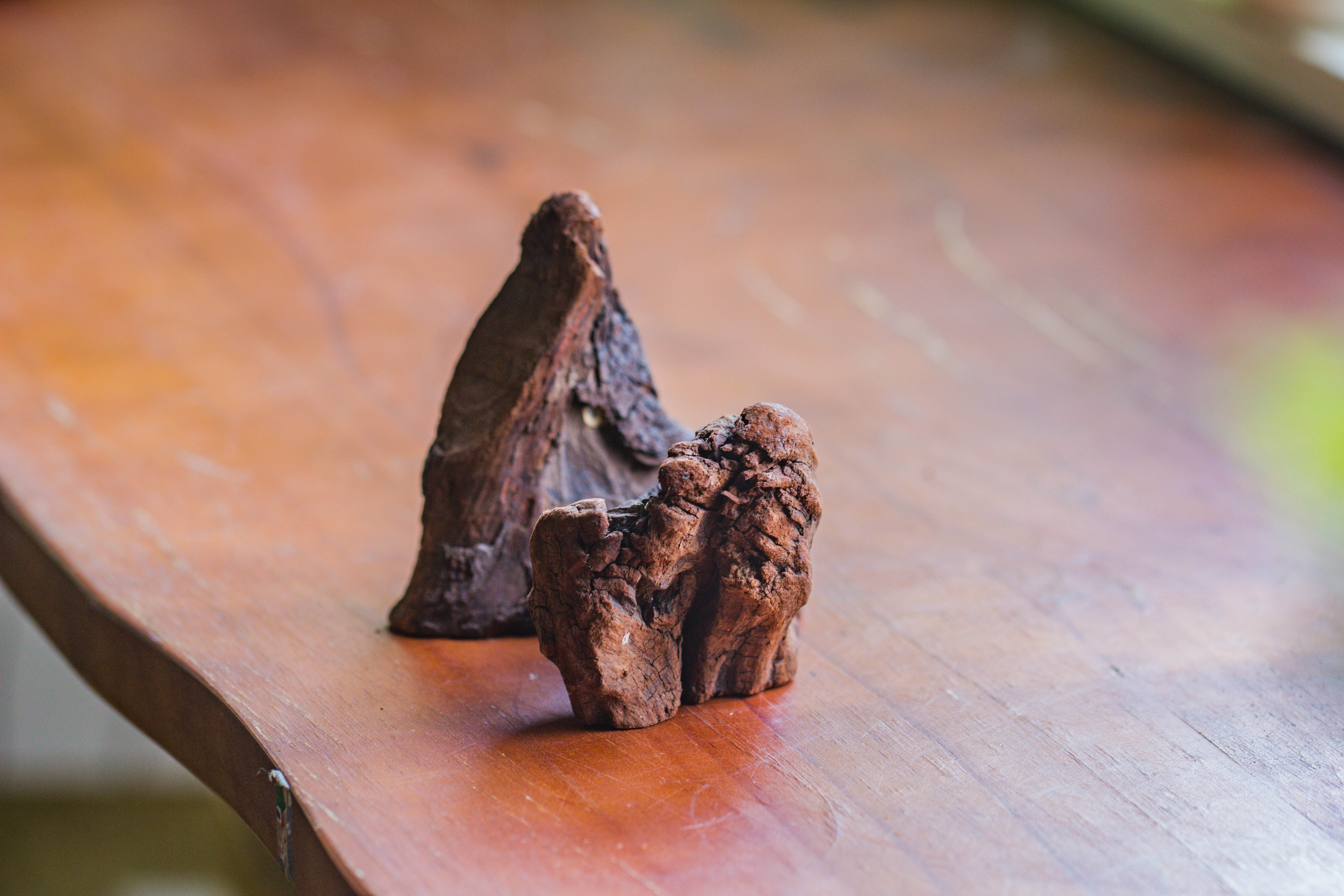 Natural driftwood for moss terrarium, miniature, micro landscape, unique  10-2, suitable for both live and preserved moss - NCYPgarden