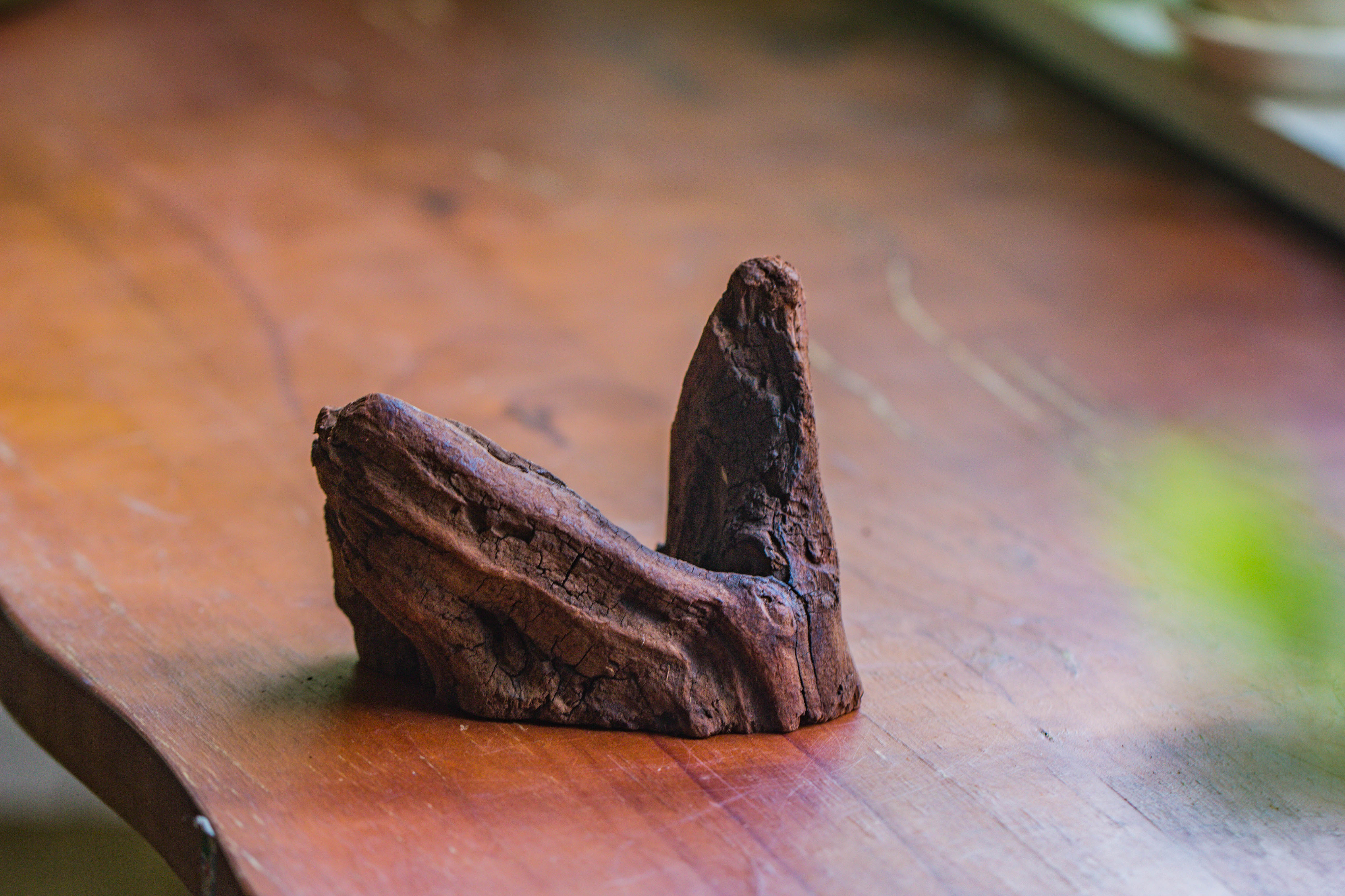 Natural driftwood for moss terrarium, miniature, micro landscape, unique  10-2, suitable for both live and preserved moss - NCYPgarden