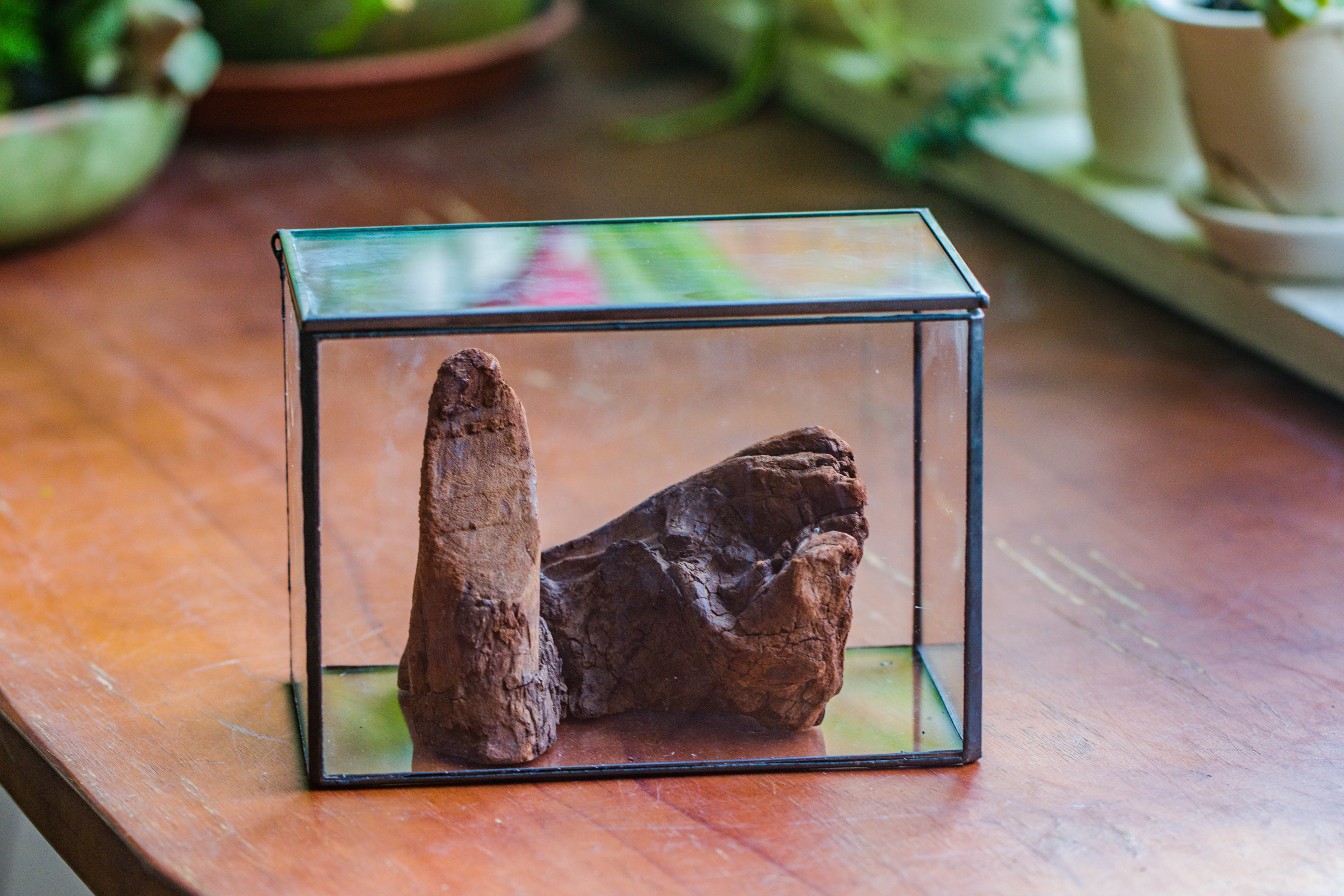 Natural driftwood for moss terrarium, miniature, micro landscape, unique  10-2, suitable for both live and preserved moss - NCYPgarden