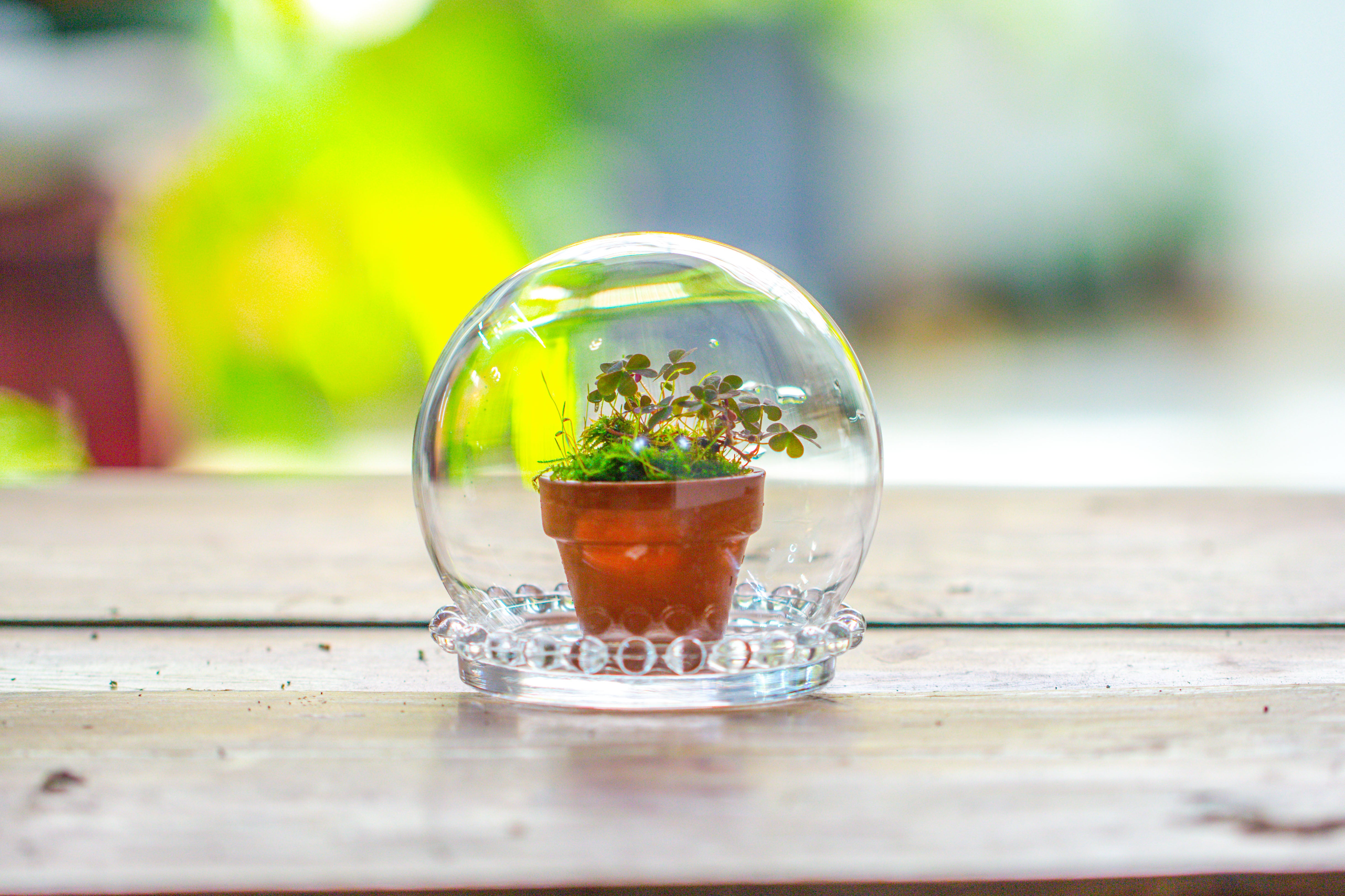mini glass globe cloche with decorative beaded base 9.5x10.8cm - NCYPgarden
