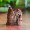 Natural driftwood for moss terrarium, miniature, micro landscape, unique  10-26, suitable for both live and preserved moss - NCYPgarden