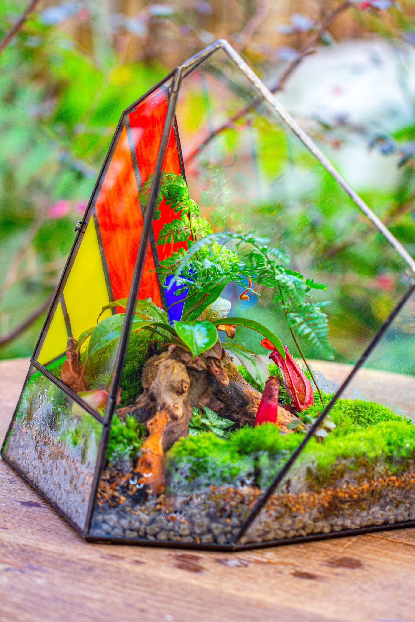 stained glass terrarium plants Rainbow Stained Glass Irregular Geometric Ice Peak Shape Terrarium, Close