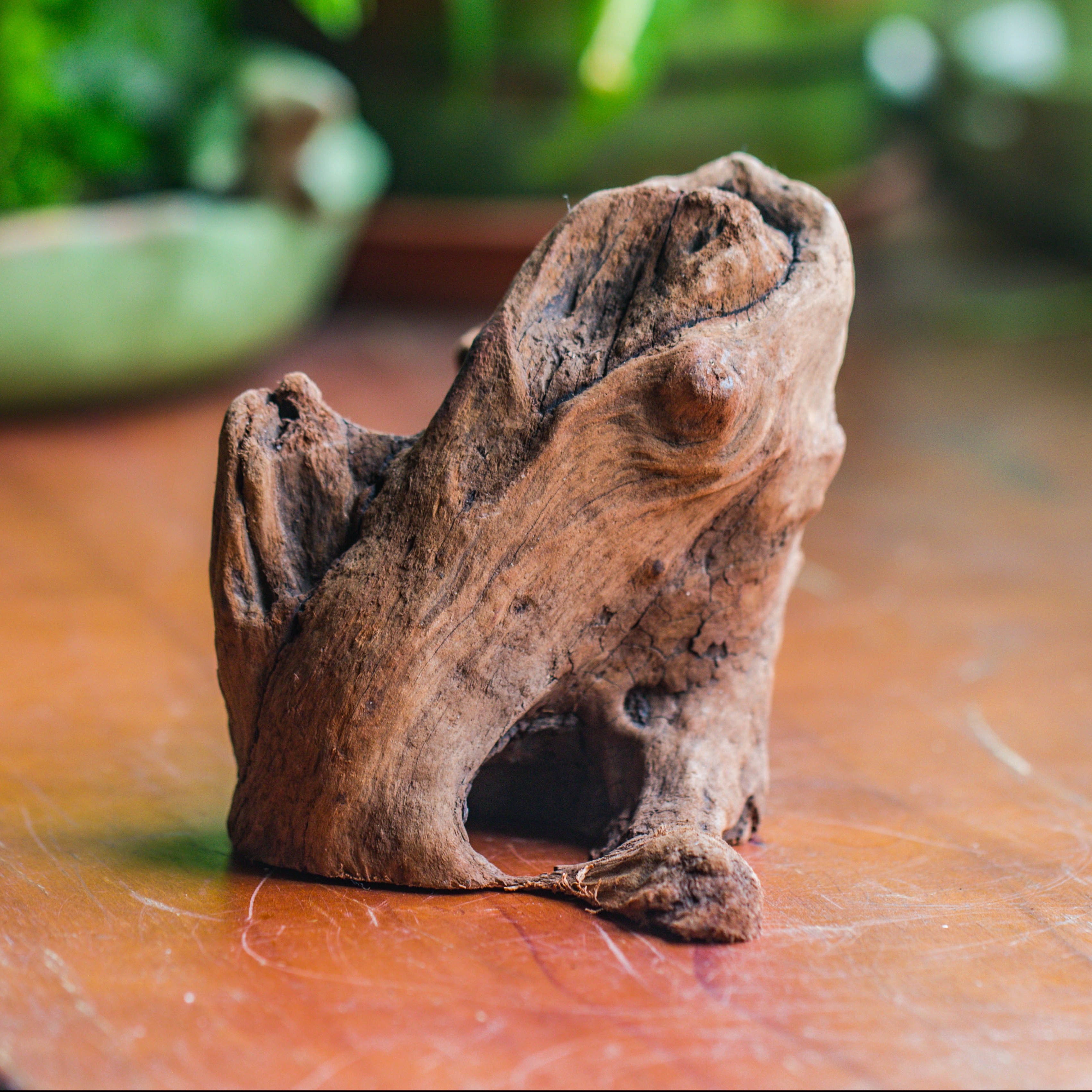 Natural driftwood for moss terrarium, miniature, micro landscape, unique  10-11, suitable for both live and preserved moss - NCYPgarden