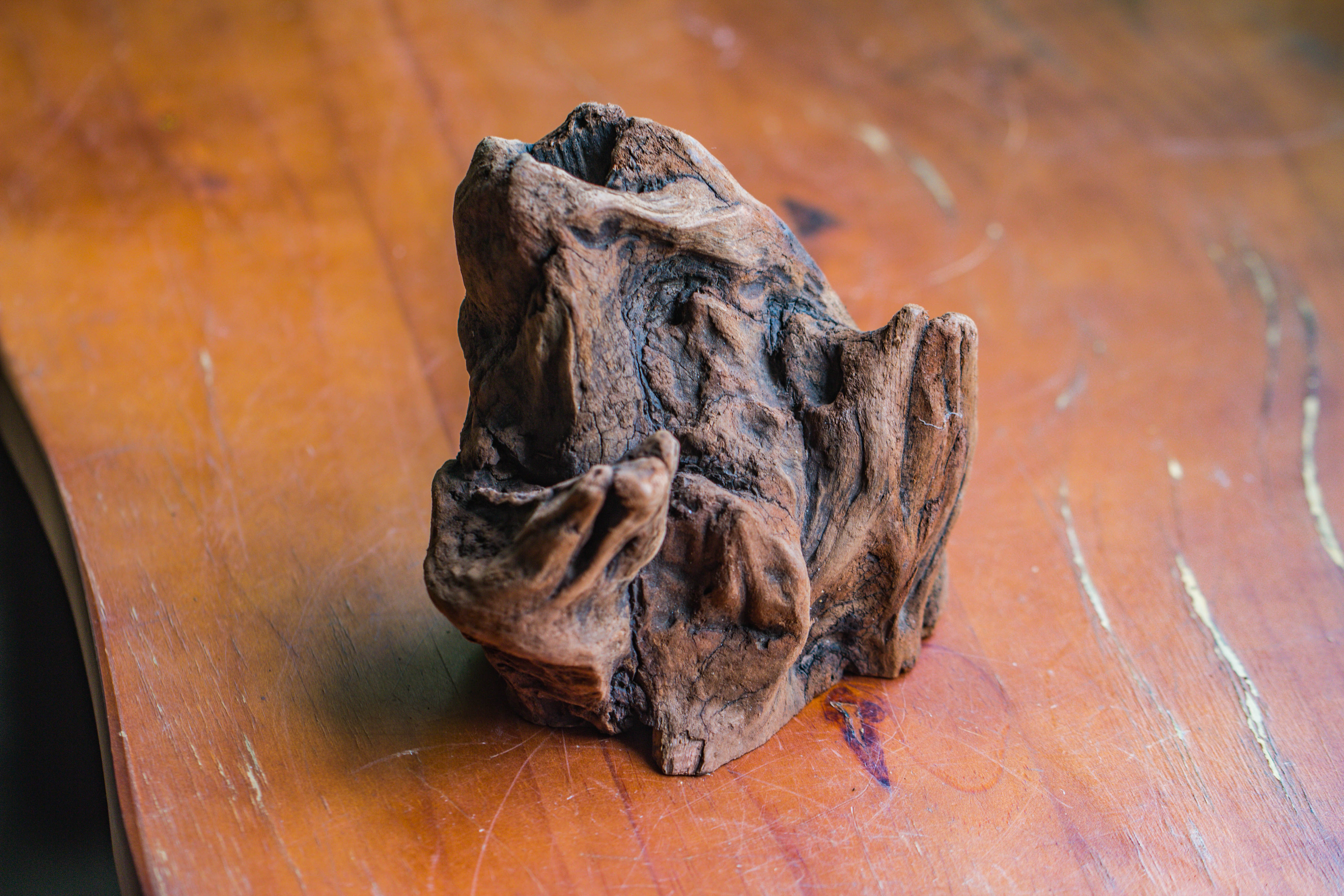 Natural driftwood for moss terrarium, miniature, micro landscape, unique  10-11, suitable for both live and preserved moss - NCYPgarden