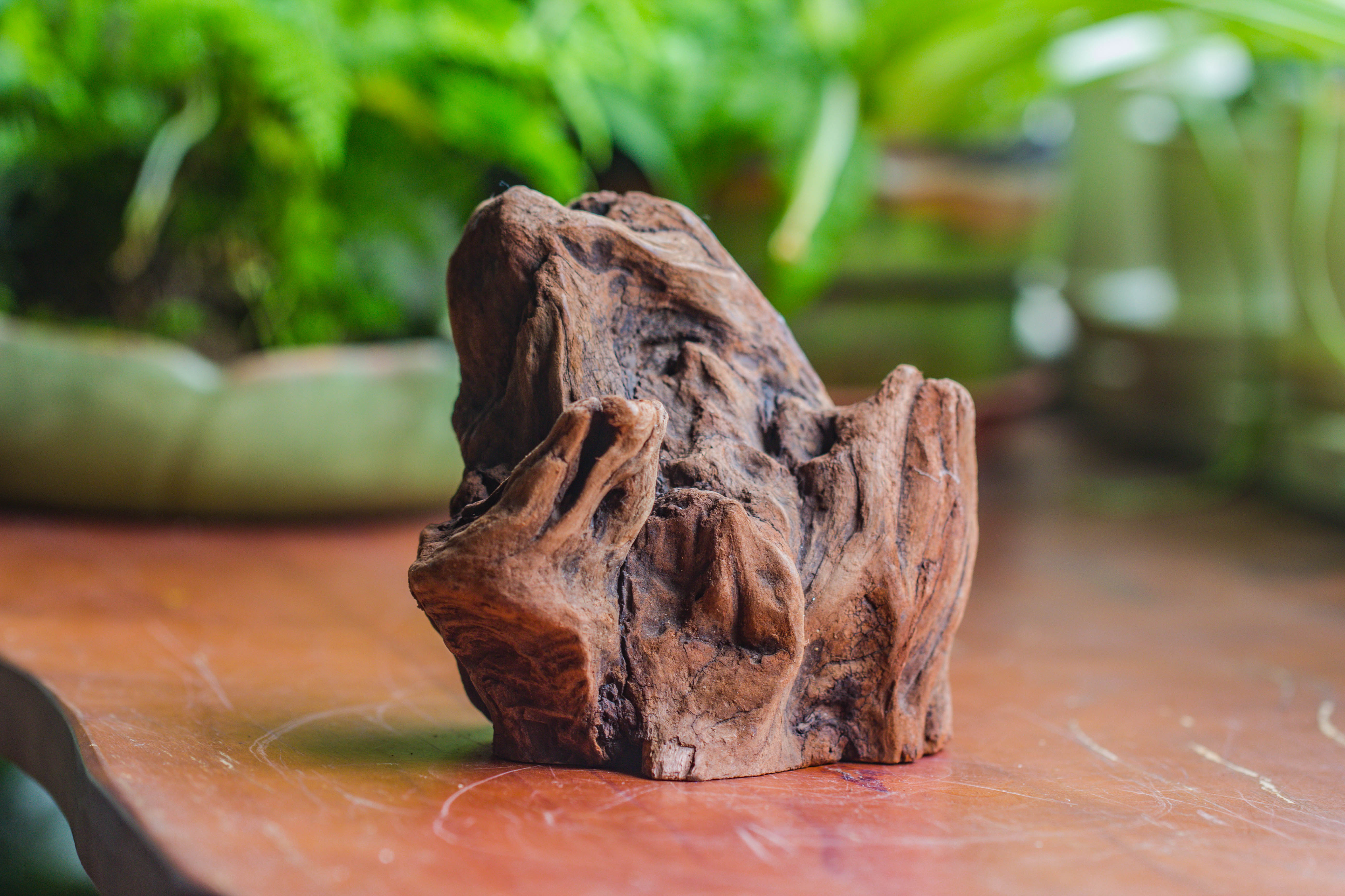 Natural driftwood for moss terrarium, miniature, micro landscape, unique  10-11, suitable for both live and preserved moss - NCYPgarden