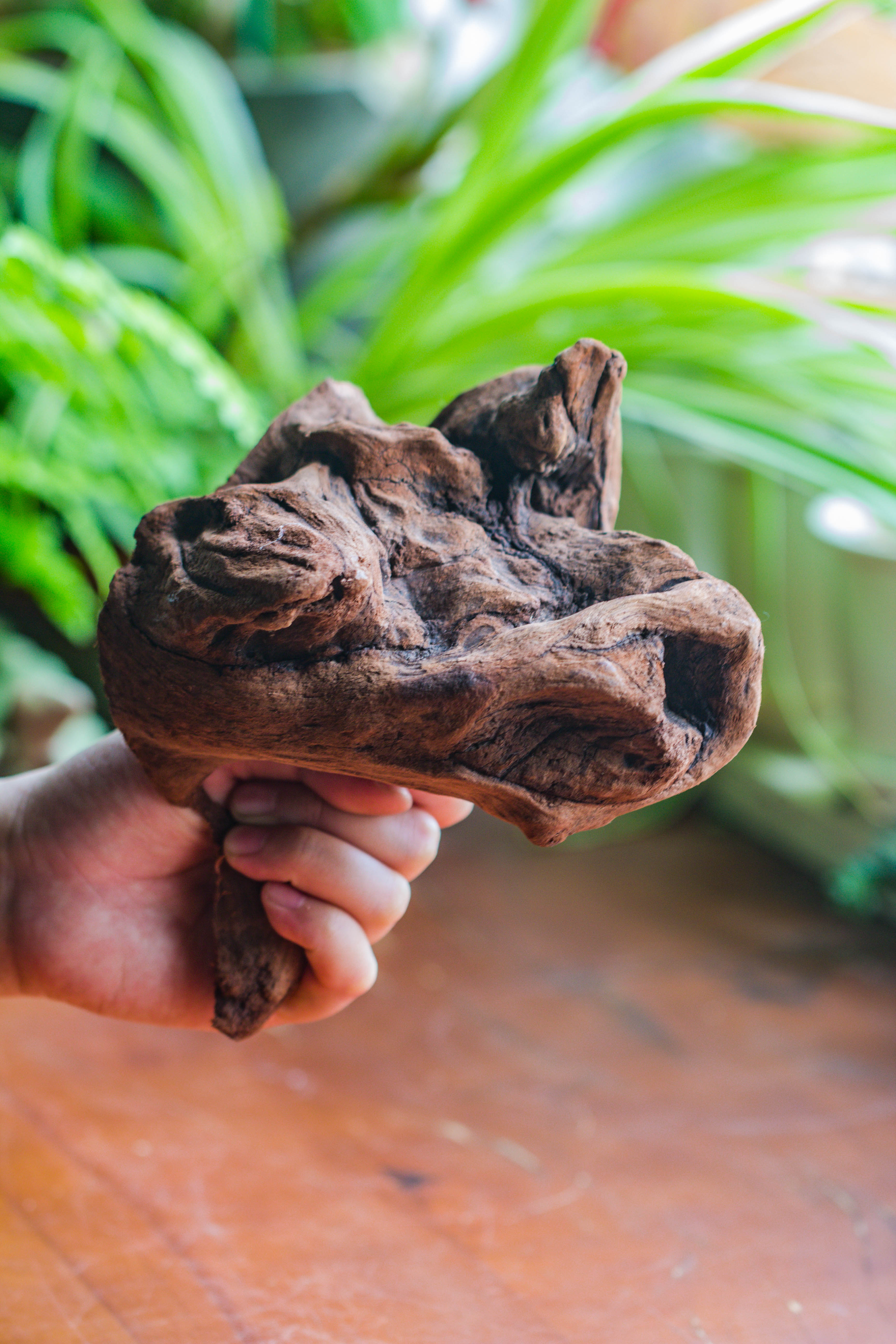 Natural driftwood for moss terrarium, miniature, micro landscape, unique  10-11, suitable for both live and preserved moss - NCYPgarden