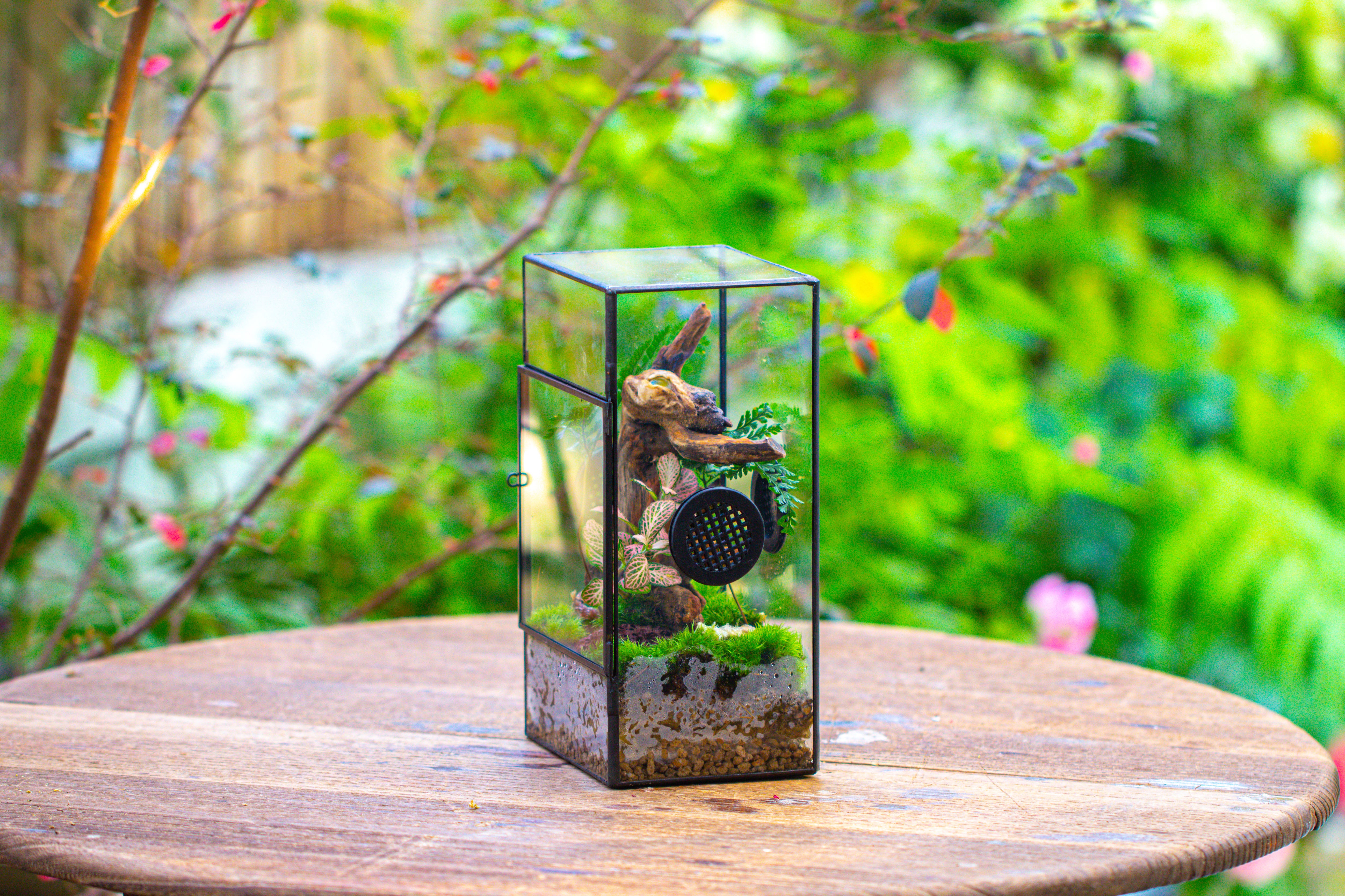 Glass Geometric Terrarium with Door Enclosure, Black Plastic Mesh Vent for Insects, Snail, Jumping Spider, Plants Not Included - NCYPgarden
