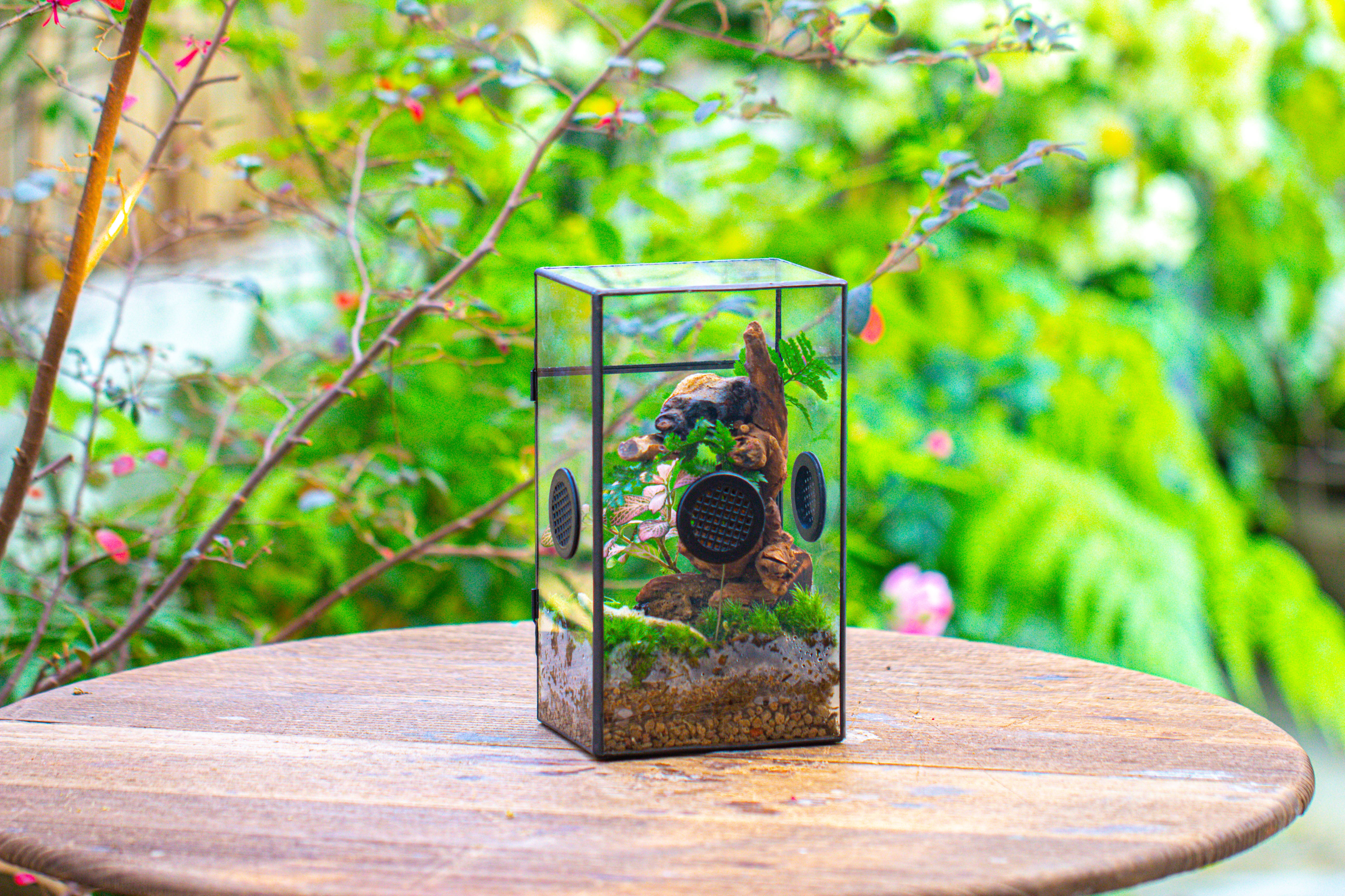 Glass Geometric Terrarium with Door Enclosure, Black Plastic Mesh Vent for Insects, Snail, Jumping Spider, Plants Not Included - NCYPgarden