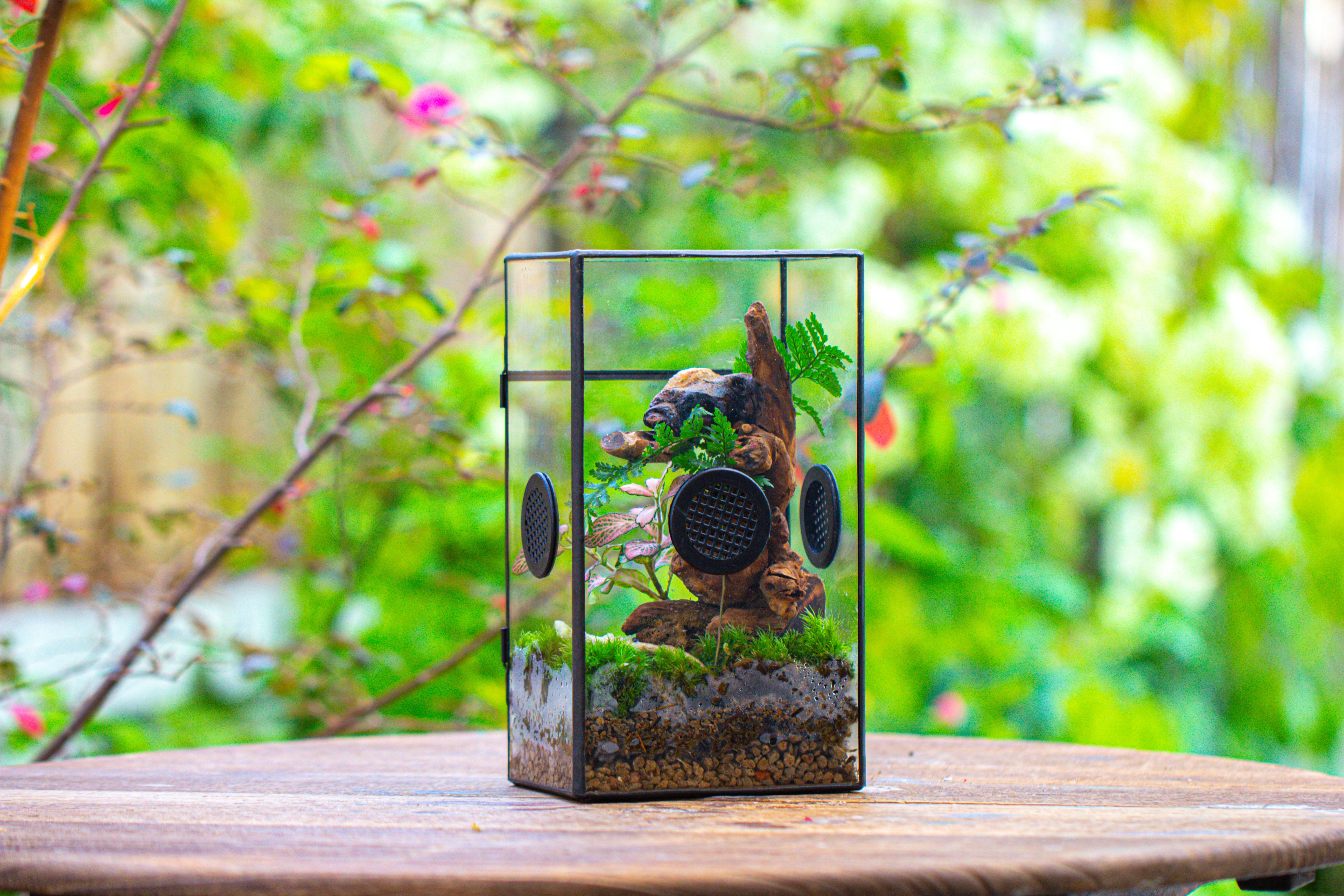 Glass Geometric Terrarium with Door Enclosure, Black Plastic Mesh Vent for Insects, Snail, Jumping Spider, Plants Not Included - NCYPgarden