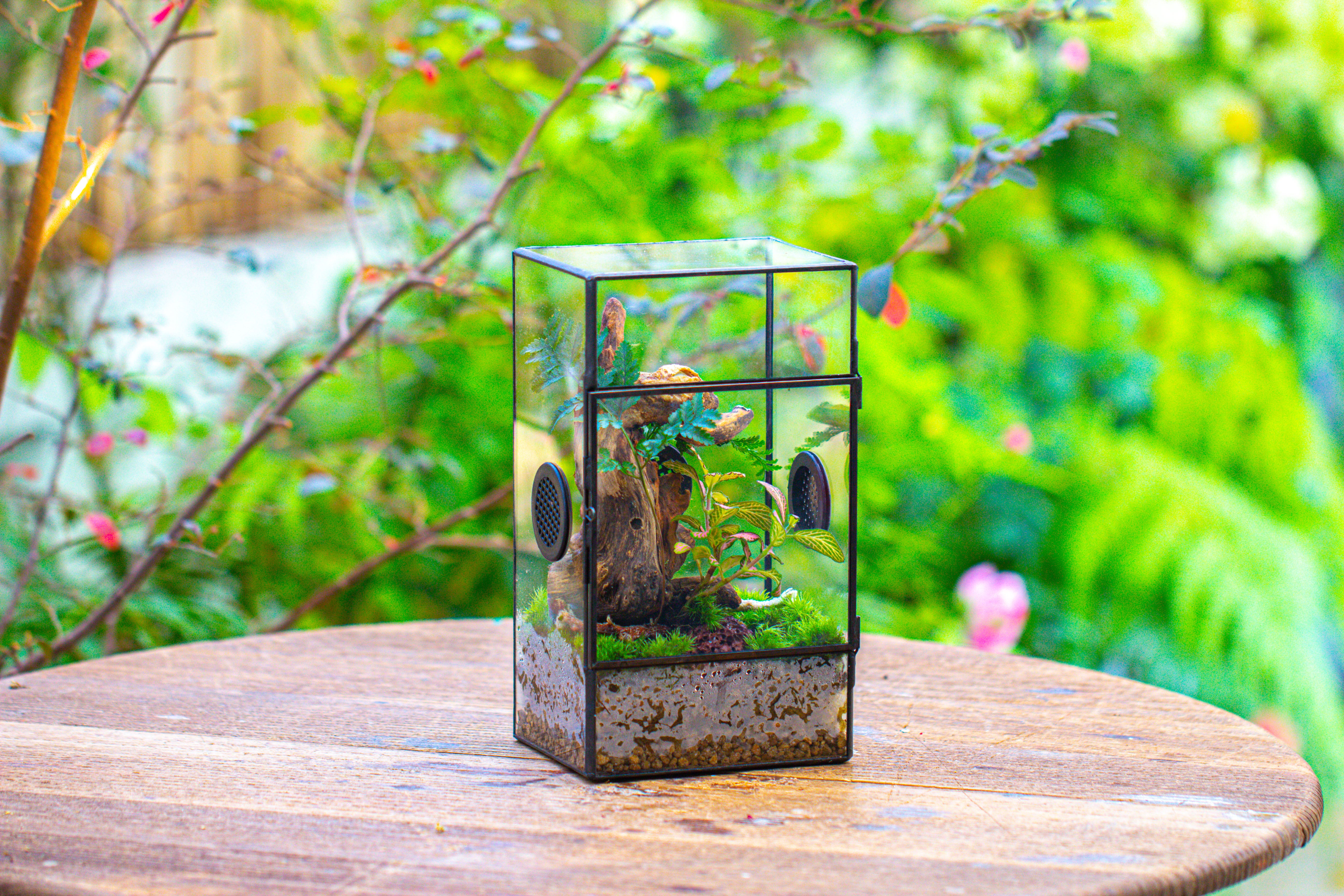 Glass Geometric Terrarium with Door Enclosure, Black Plastic Mesh Vent for Insects, Snail, Jumping Spider, Plants Not Included - NCYPgarden