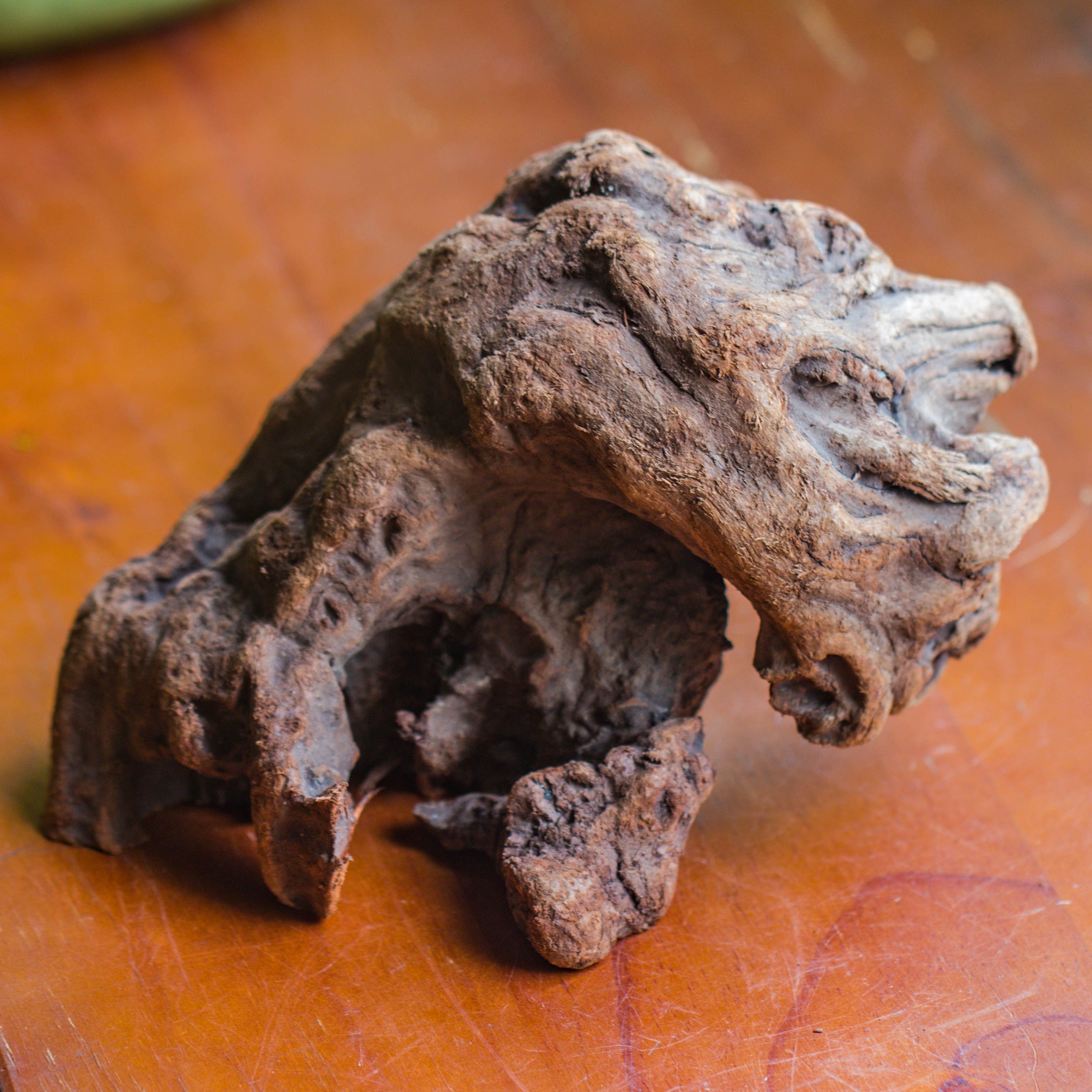 Natural driftwood for moss terrarium, miniature, micro landscape, unique  10-30, suitable for both live and preserved moss - NCYPgarden