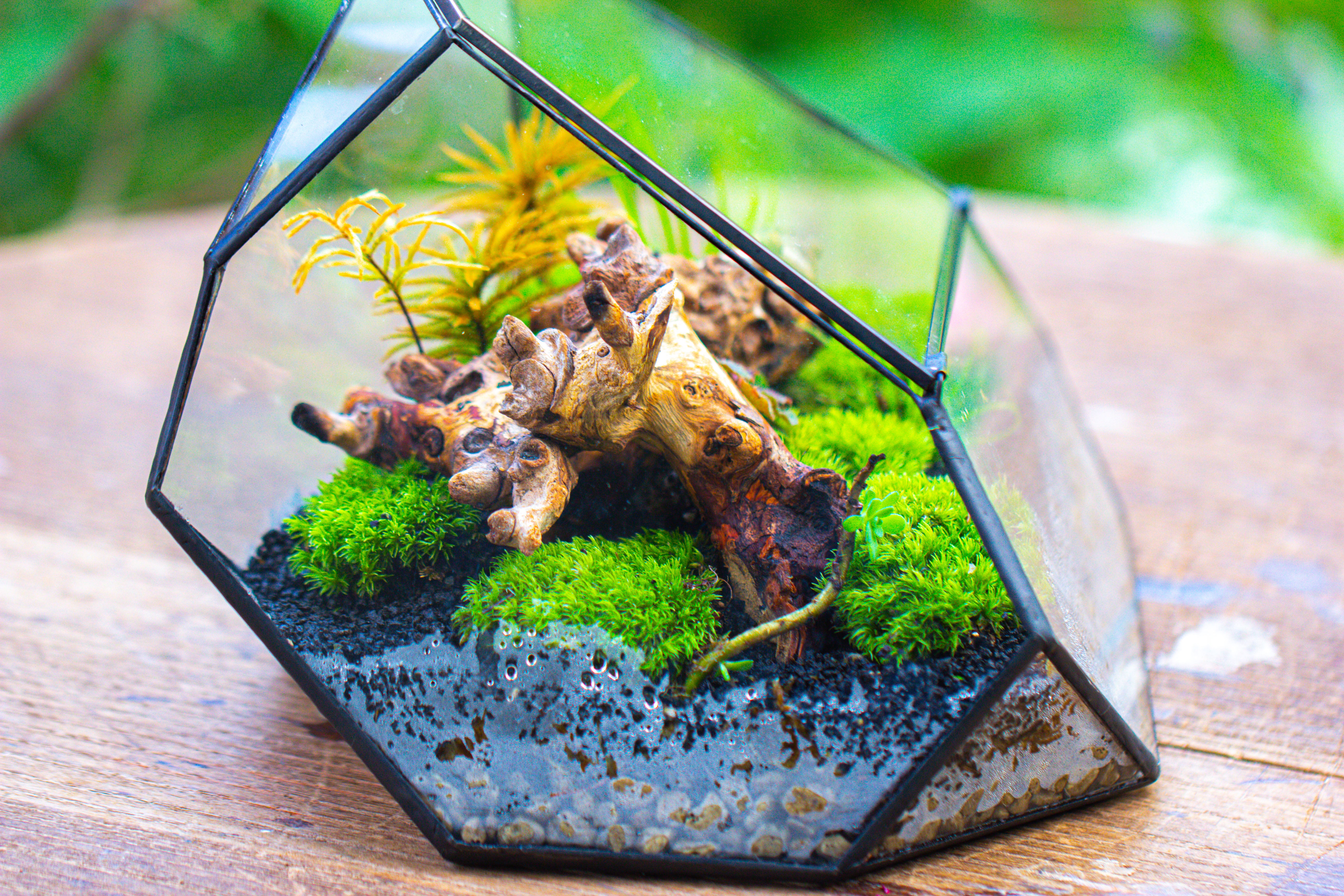 Irregular geometric rock shape glass and tin terrarium, for moss - NCYPgarden