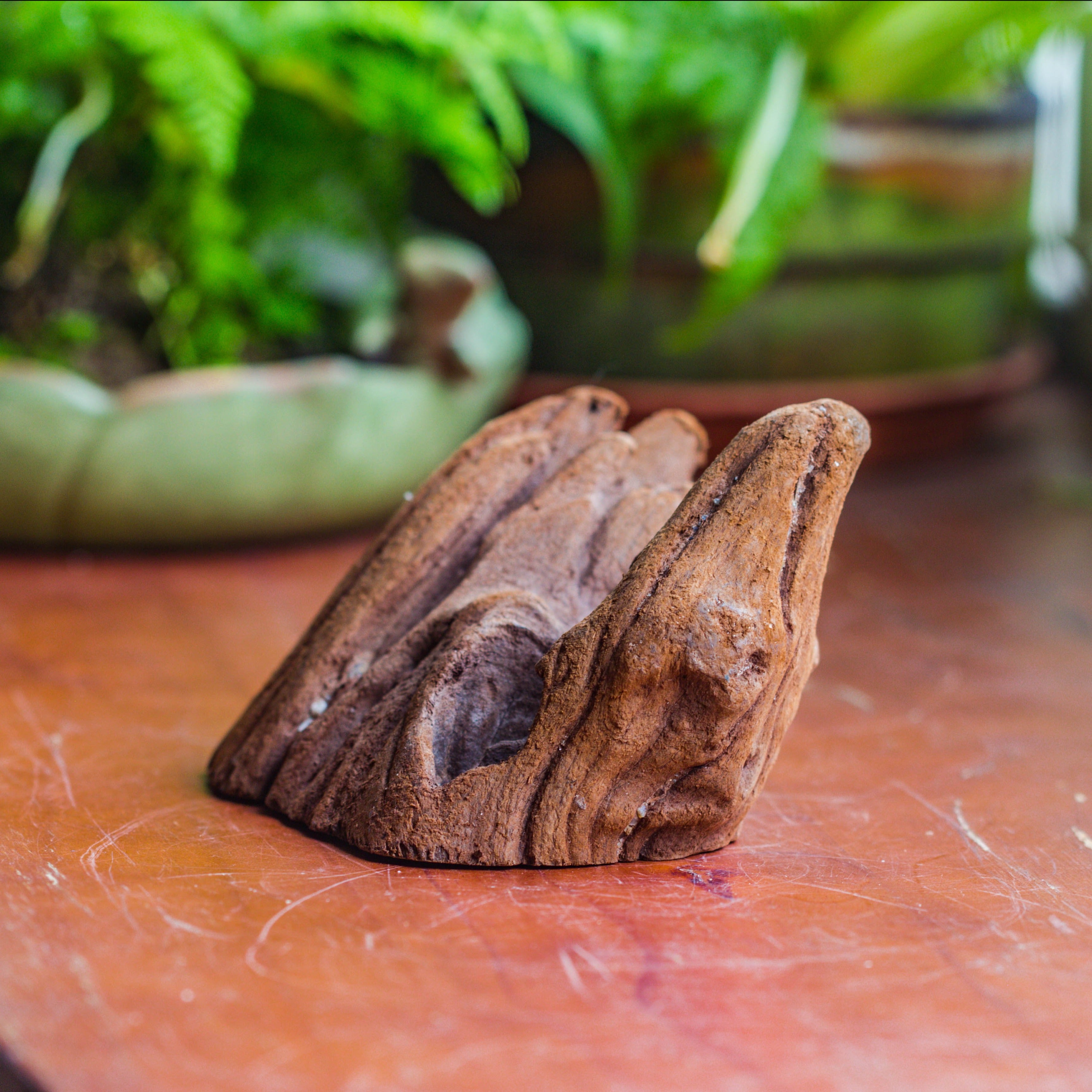 Natural driftwood for moss terrarium, miniature, micro landscape, unique  10-38, suitable for both live and preserved moss - NCYPgarden