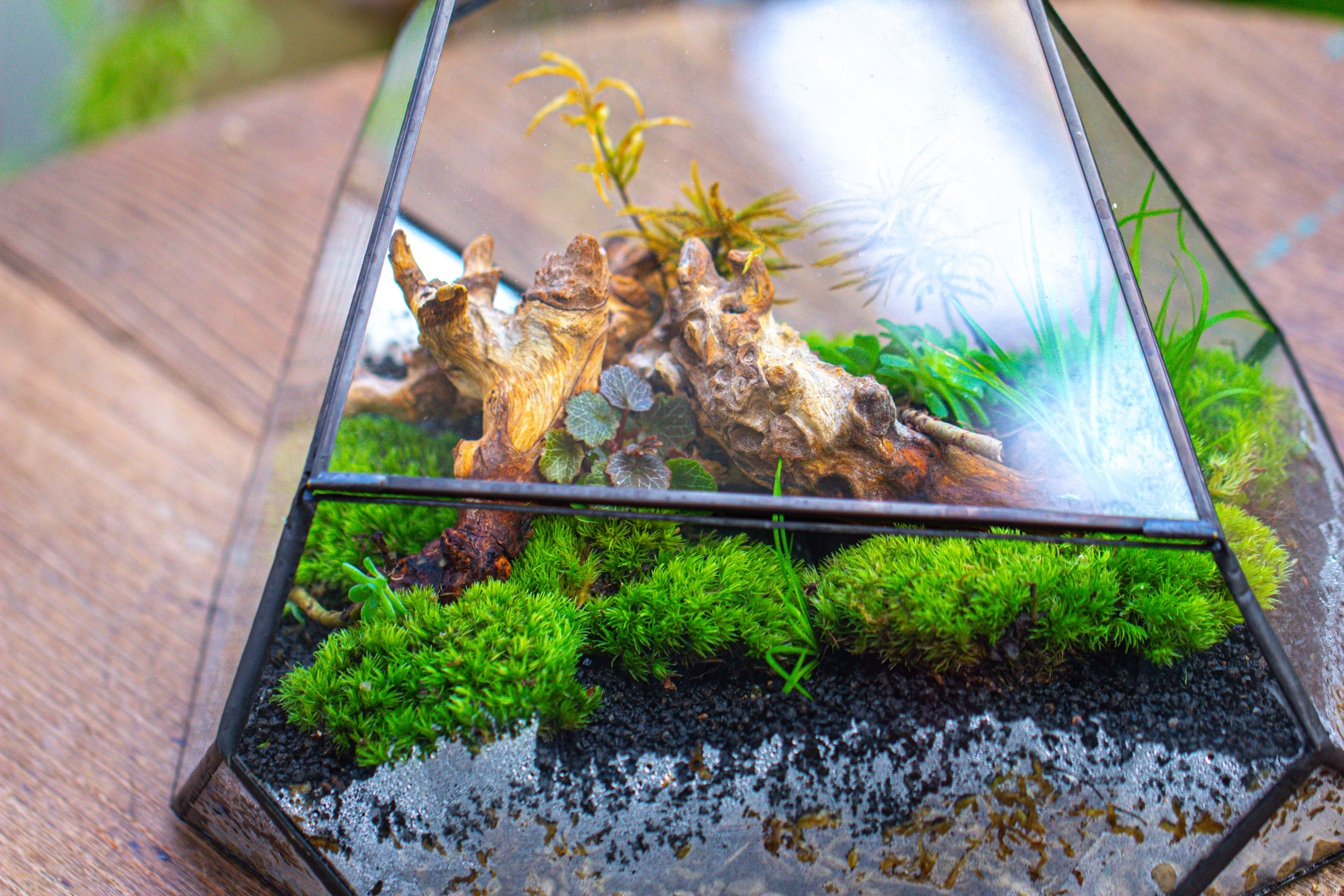 Irregular geometric rock shape glass and tin terrarium, for moss - NCYPgarden
