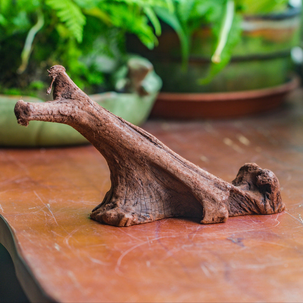 Natural driftwood for moss terrarium, miniature, micro landscape, unique  10-32, suitable for both live and preserved moss - NCYPgarden