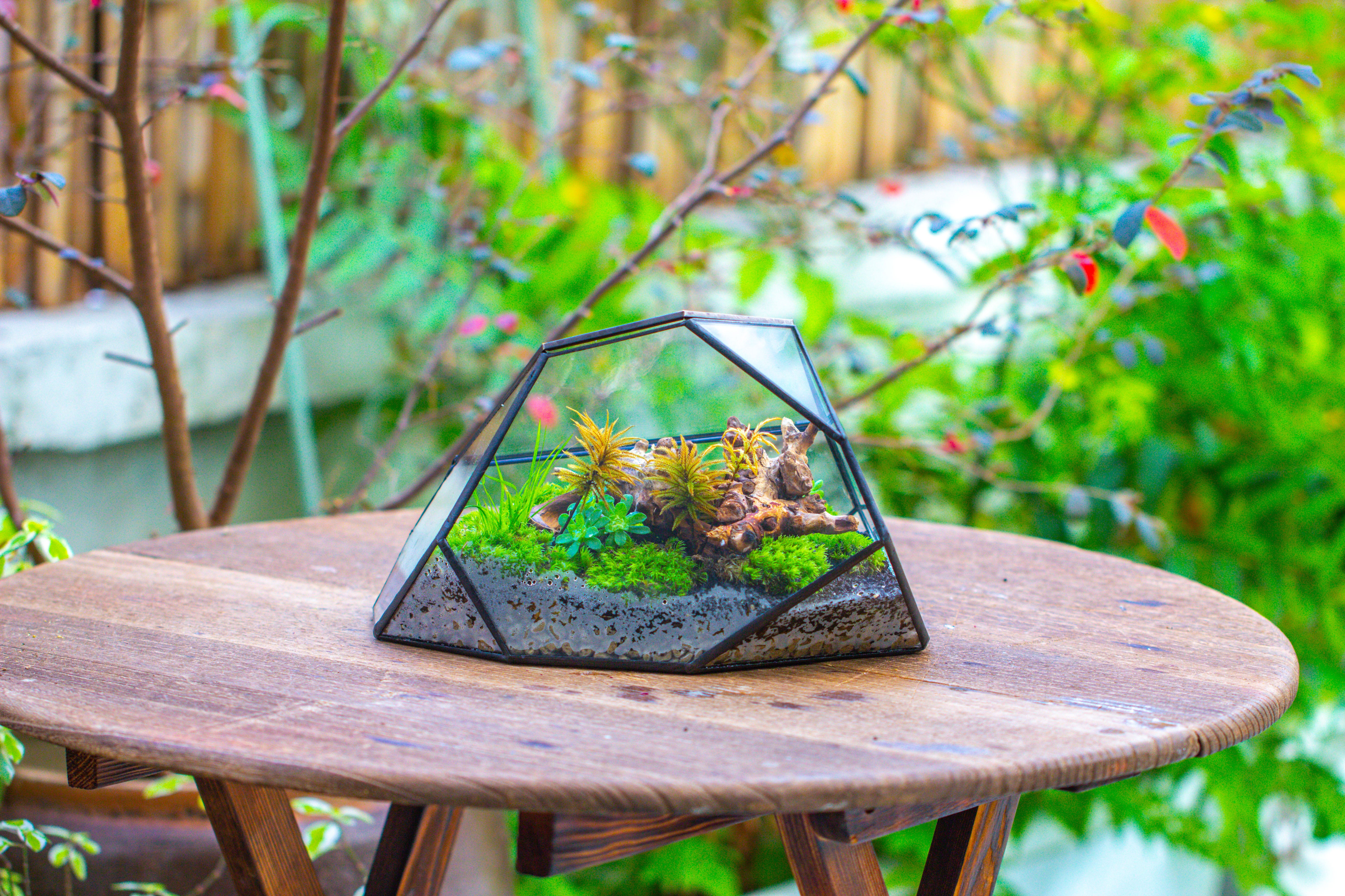 Irregular geometric rock shape glass and tin terrarium, for moss - NCYPgarden