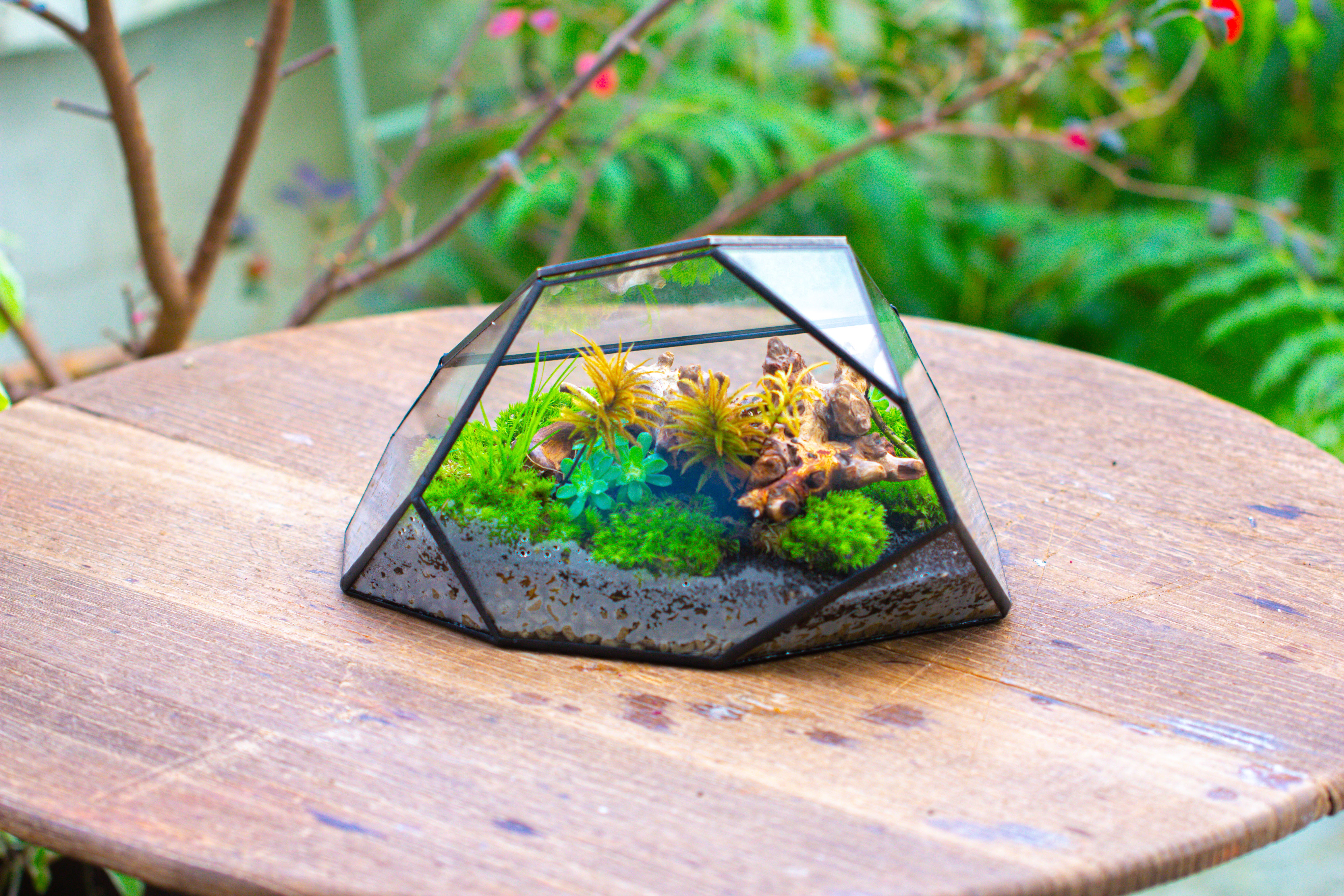 Irregular geometric rock shape glass and tin terrarium, for moss - NCYPgarden