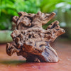 Copy of Natural driftwood for moss terrarium, miniature, micro landscape, unique  10-10, suitable for both live and preserved moss - NCYPgarden