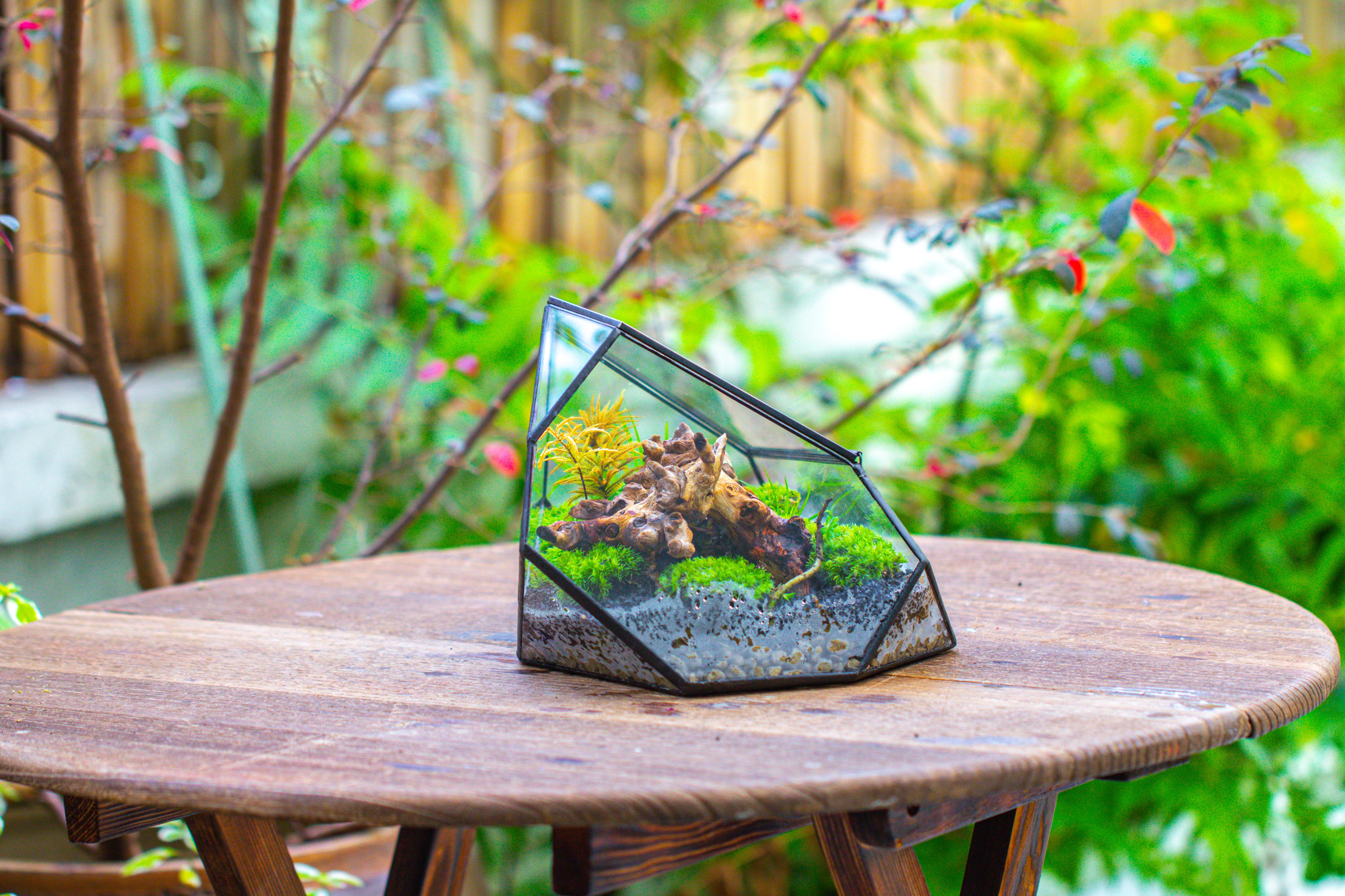 Irregular geometric rock shape glass and tin terrarium, for moss - NCYPgarden