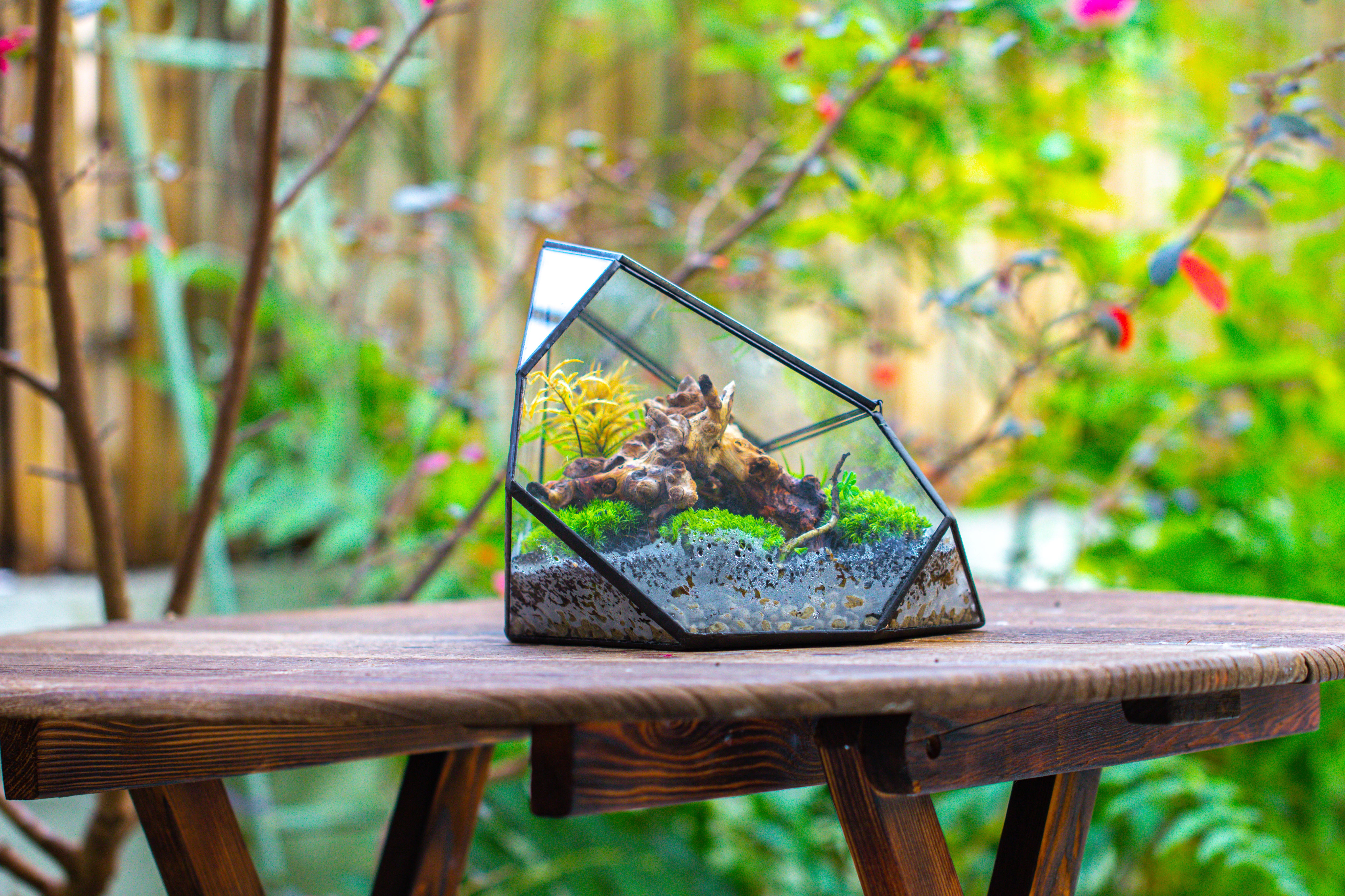 Irregular geometric rock shape glass and tin terrarium, for moss - NCYPgarden