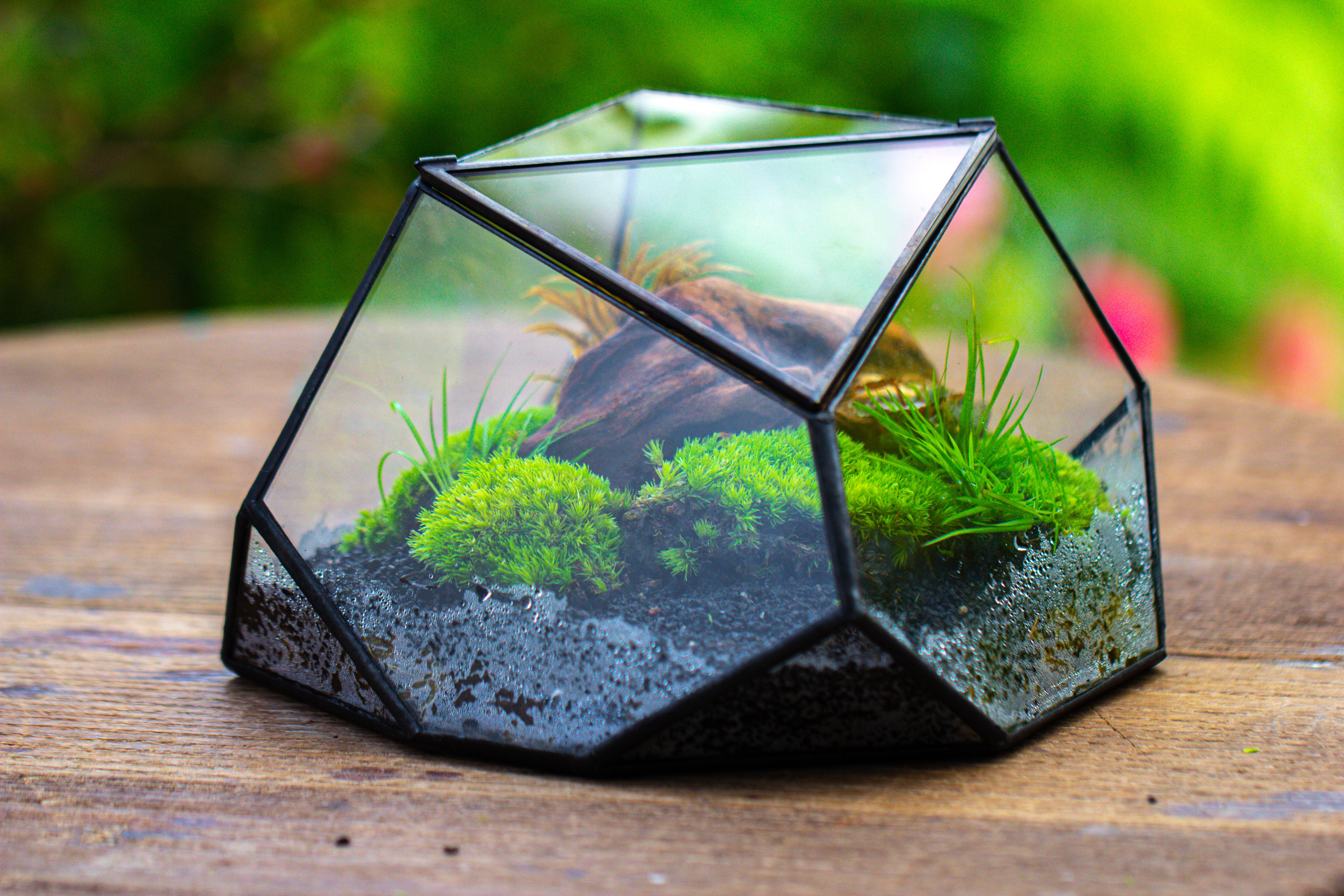 Geometric Terrarium Irregular, handmade,Tin and Glass - NCYPgarden