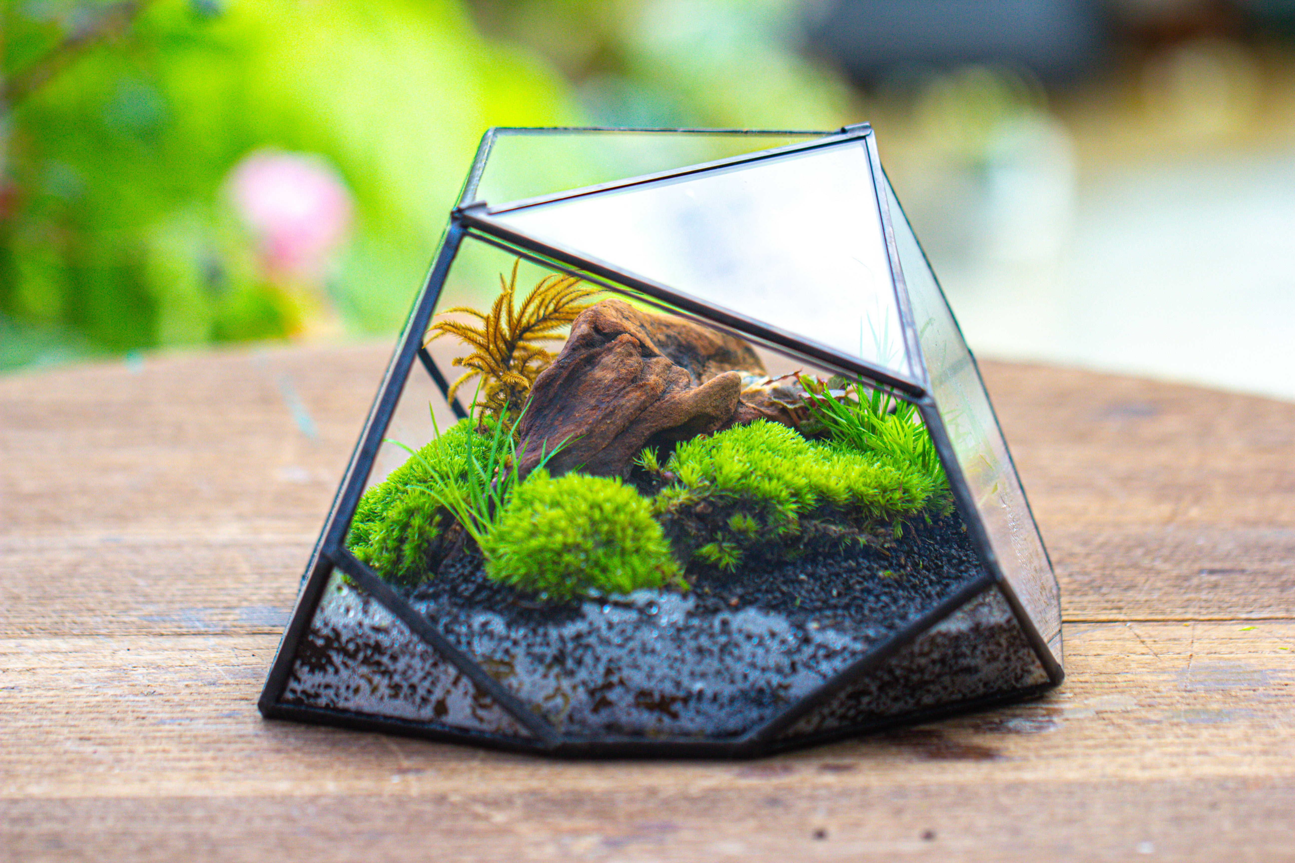 Geometric Terrarium Irregular, handmade,Tin and Glass - NCYPgarden