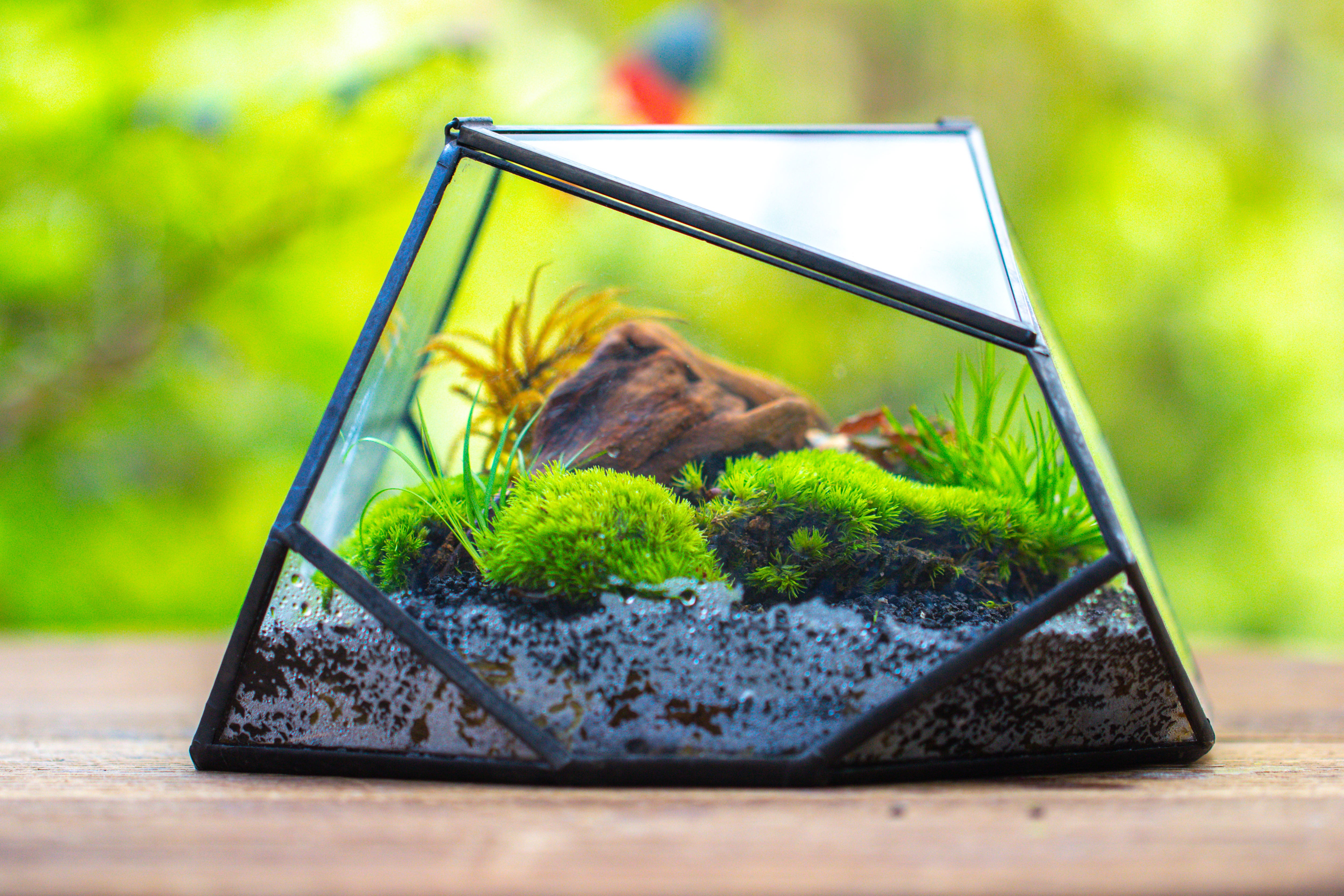 Geometric Terrarium Irregular, handmade,Tin and Glass - NCYPgarden