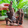 Copy of Natural driftwood for moss terrarium, miniature, micro landscape, unique  10-41, suitable for both live and preserved moss - NCYPgarden