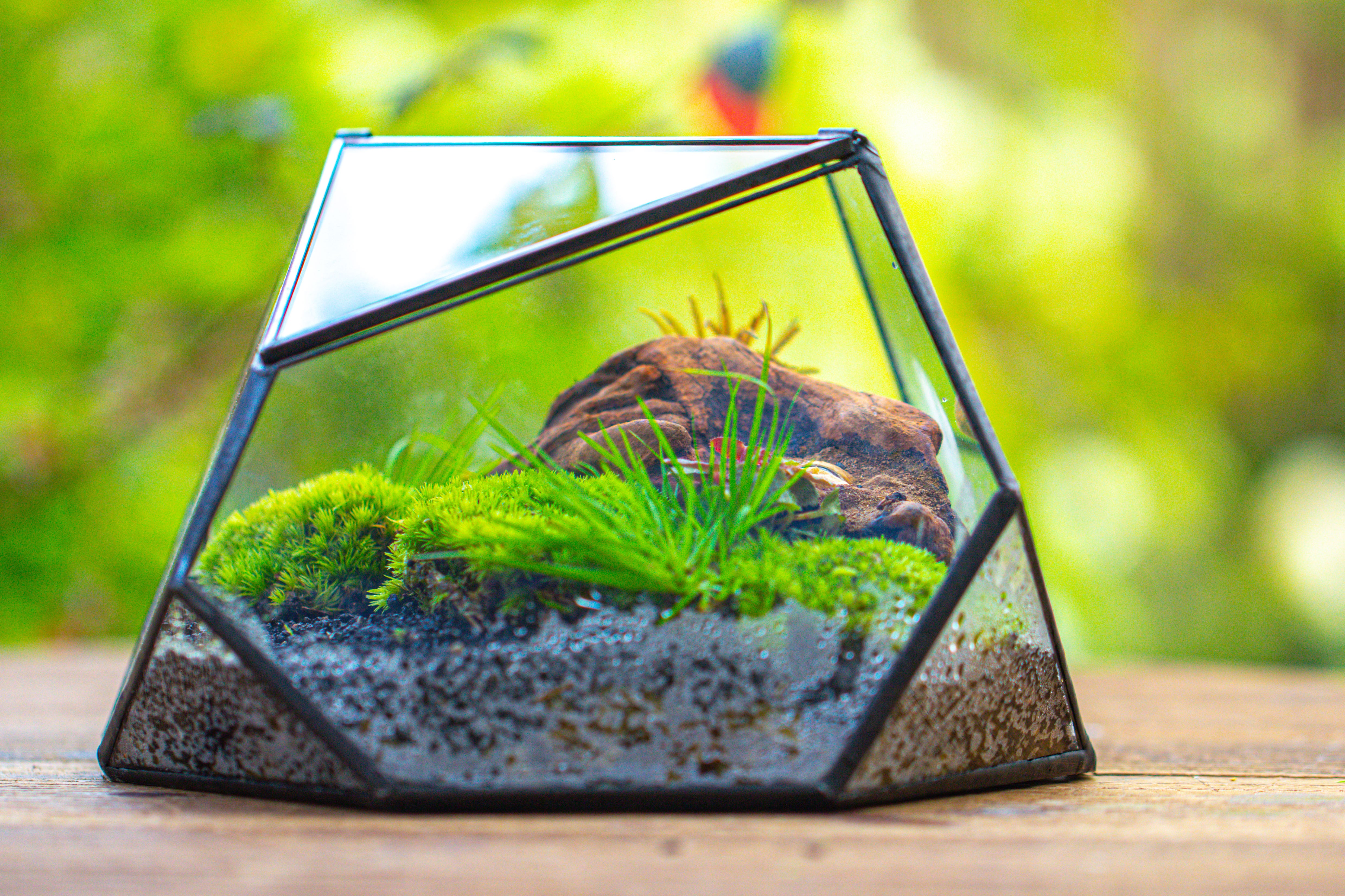 Geometric Terrarium Irregular, handmade,Tin and Glass - NCYPgarden