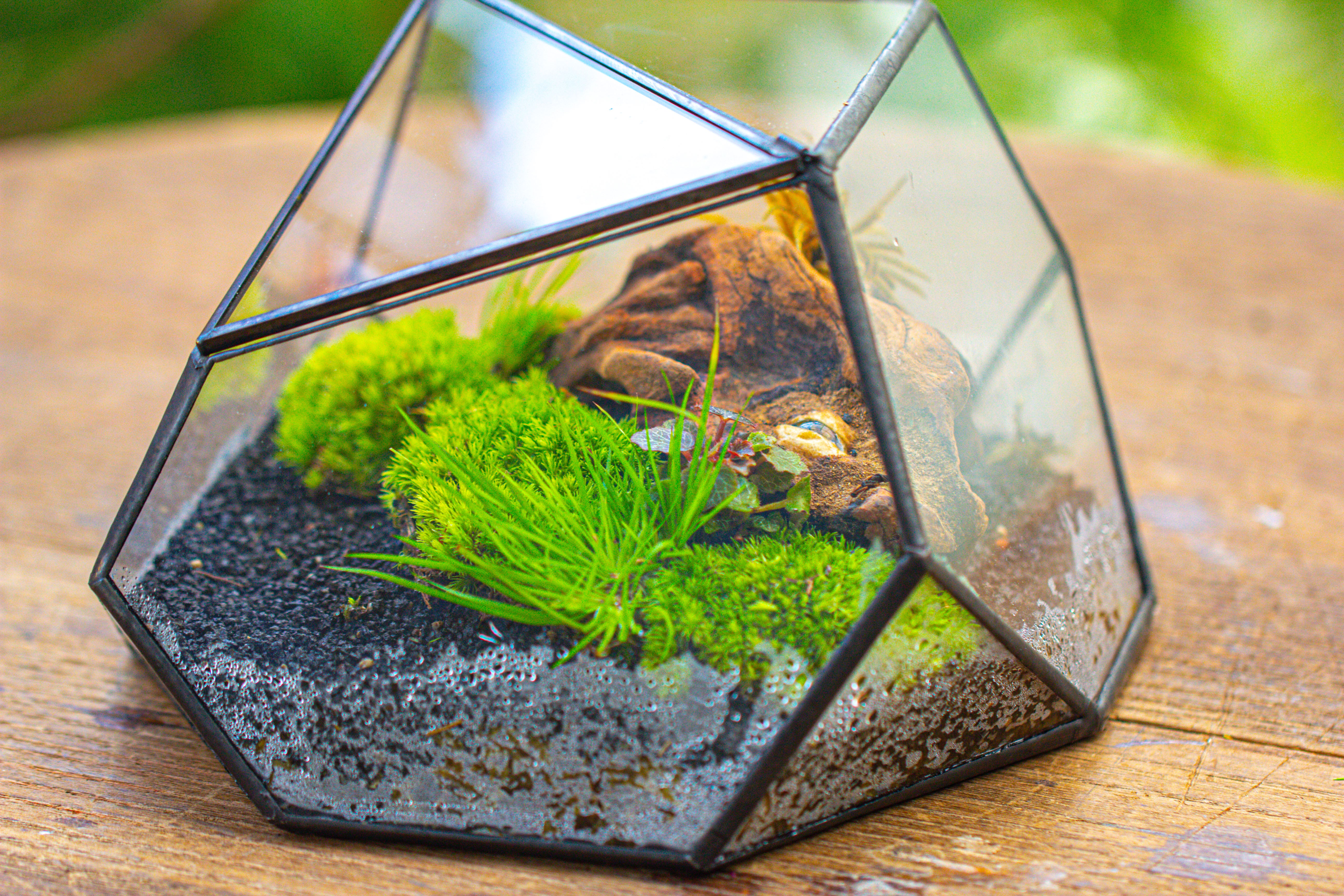 Geometric Terrarium Irregular, handmade,Tin and Glass - NCYPgarden