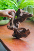 Copy of Natural driftwood for moss terrarium, miniature, micro landscape, unique  10-41, suitable for both live and preserved moss - NCYPgarden
