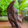 Copy of Natural driftwood for moss terrarium, miniature, micro landscape, unique  10-48, suitable for both live and preserved moss - NCYPgarden