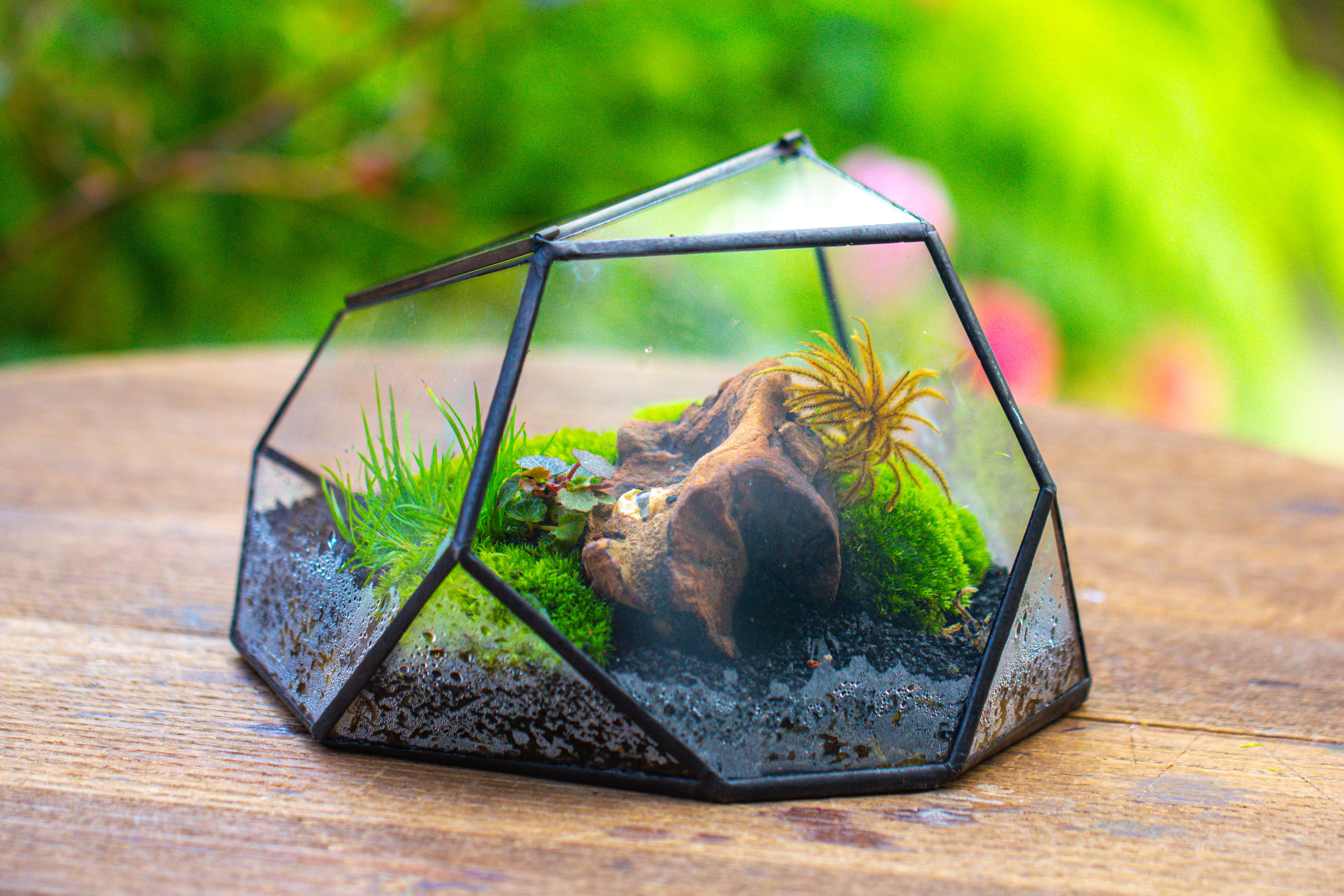 Geometric Terrarium Irregular, handmade,Tin and Glass - NCYPgarden