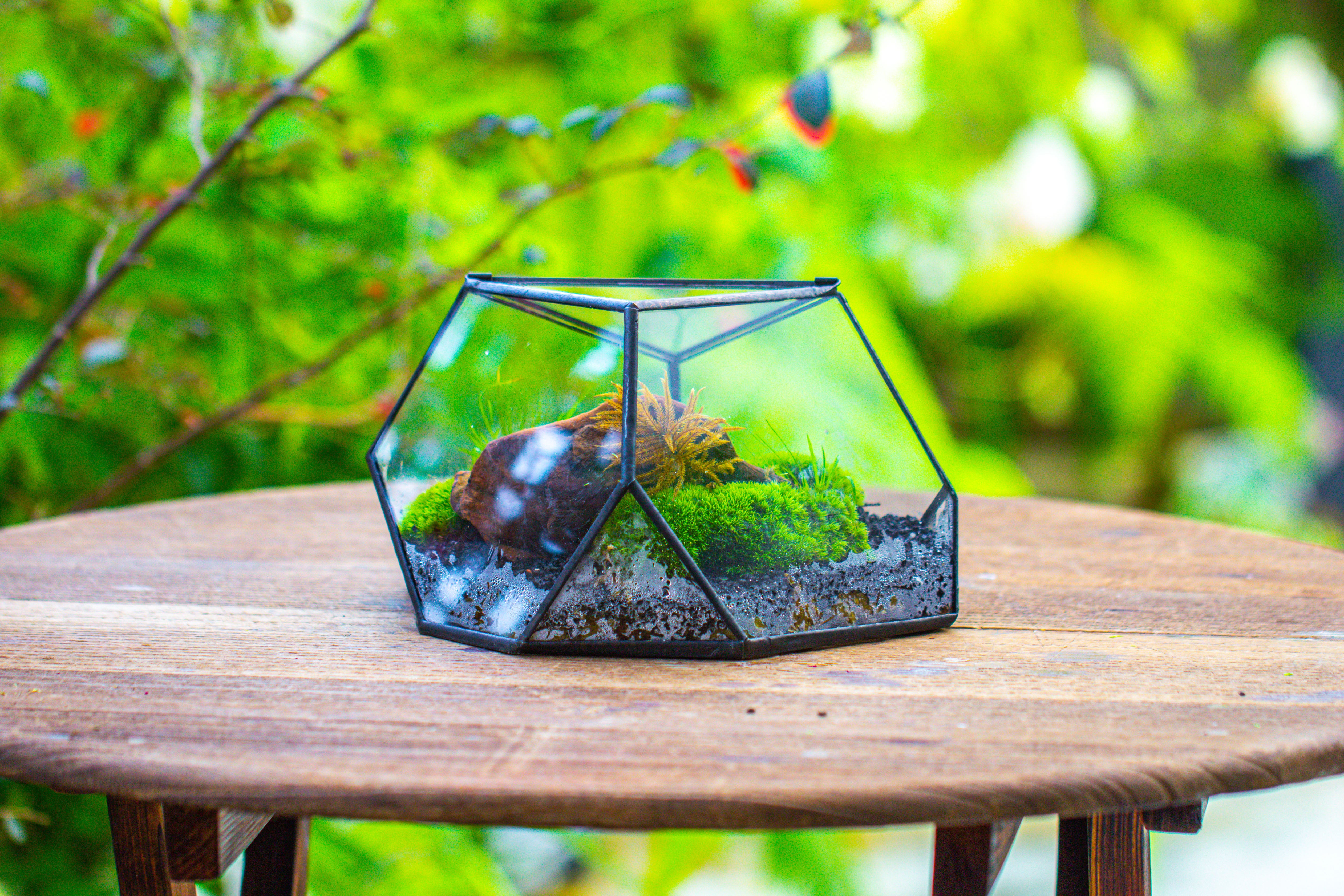 Geometric Terrarium Irregular, handmade,Tin and Glass - NCYPgarden