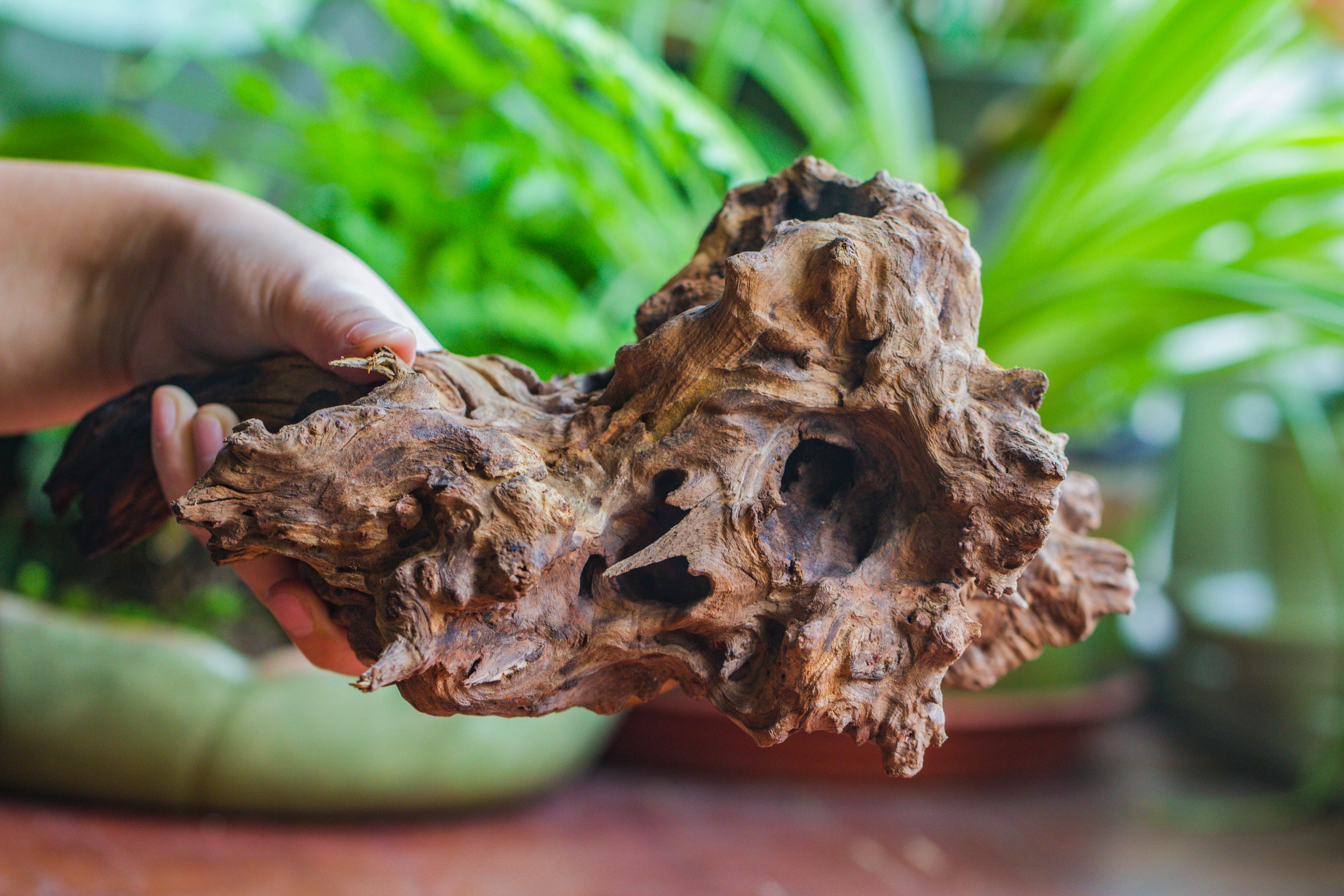 Natural driftwood for moss terrarium, miniature, micro landscape, unique  10-7, suitable for both live and preserved moss - NCYPgarden