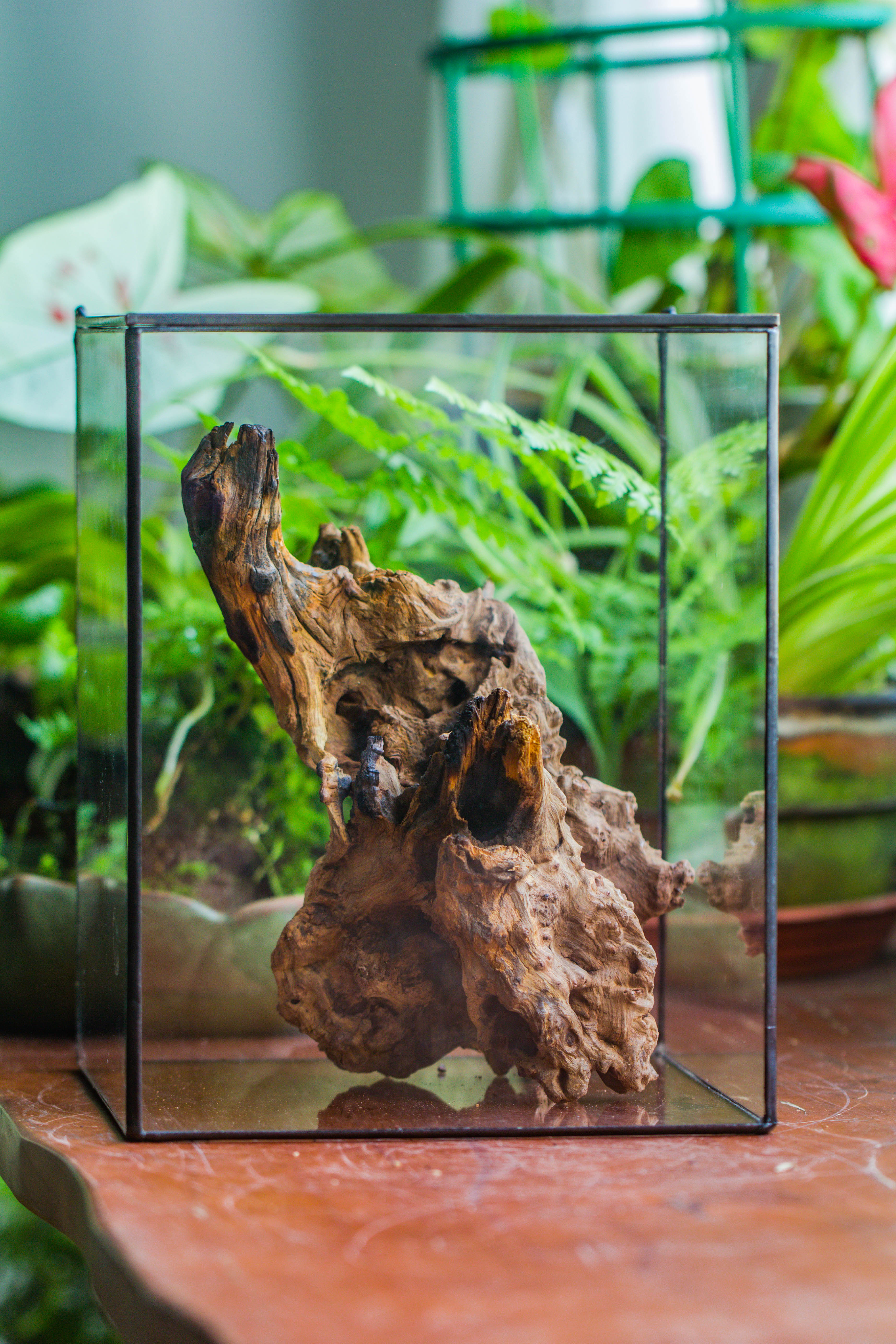 Natural driftwood for moss terrarium, miniature, micro landscape, unique  10-7, suitable for both live and preserved moss - NCYPgarden