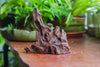 Copy of Natural driftwood for moss terrarium, miniature, micro landscape, unique  10-9, suitable for both live and preserved moss - NCYPgarden