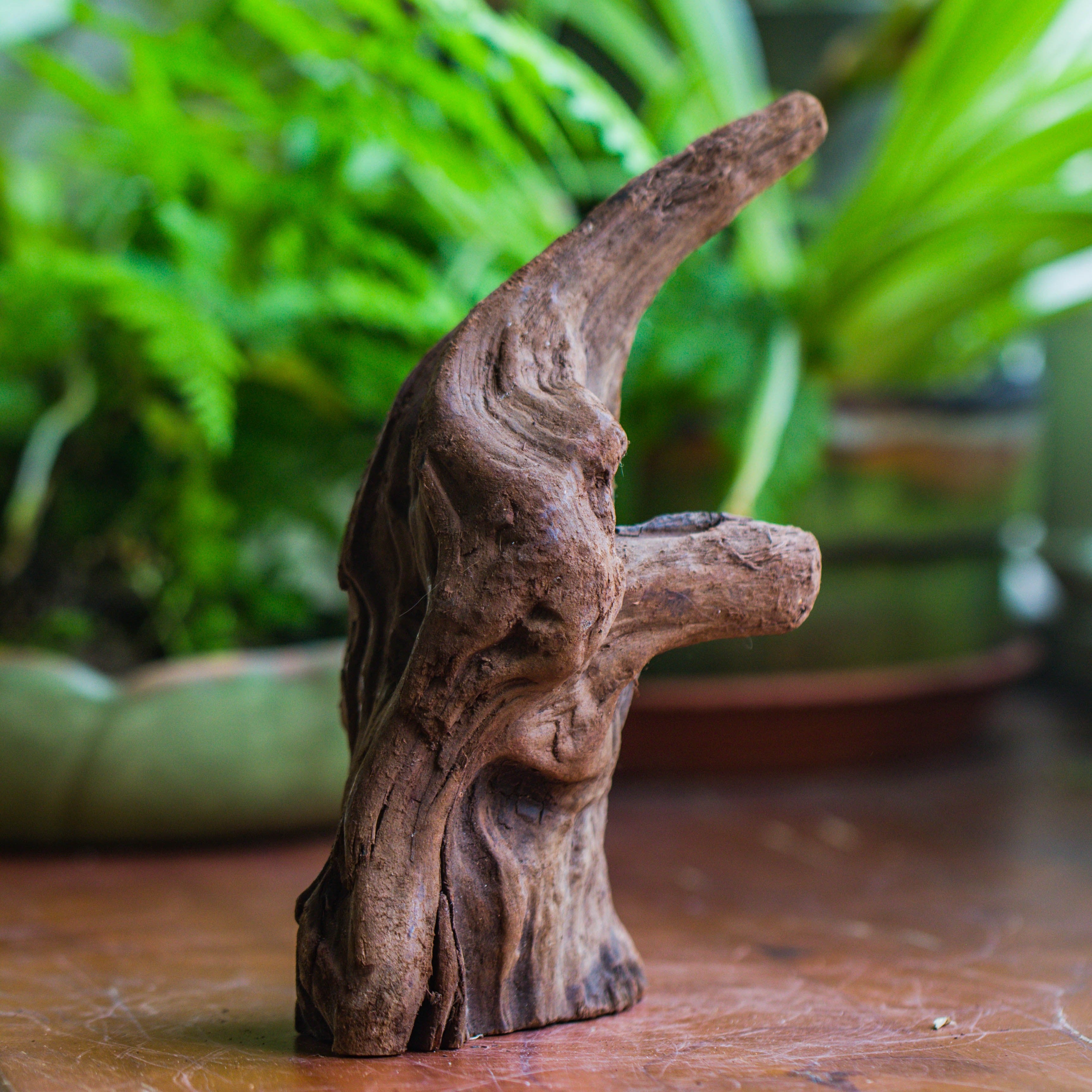 Natural driftwood for moss terrarium, miniature, micro landscape, unique  10-6, suitable for both live and preserved moss - NCYPgarden