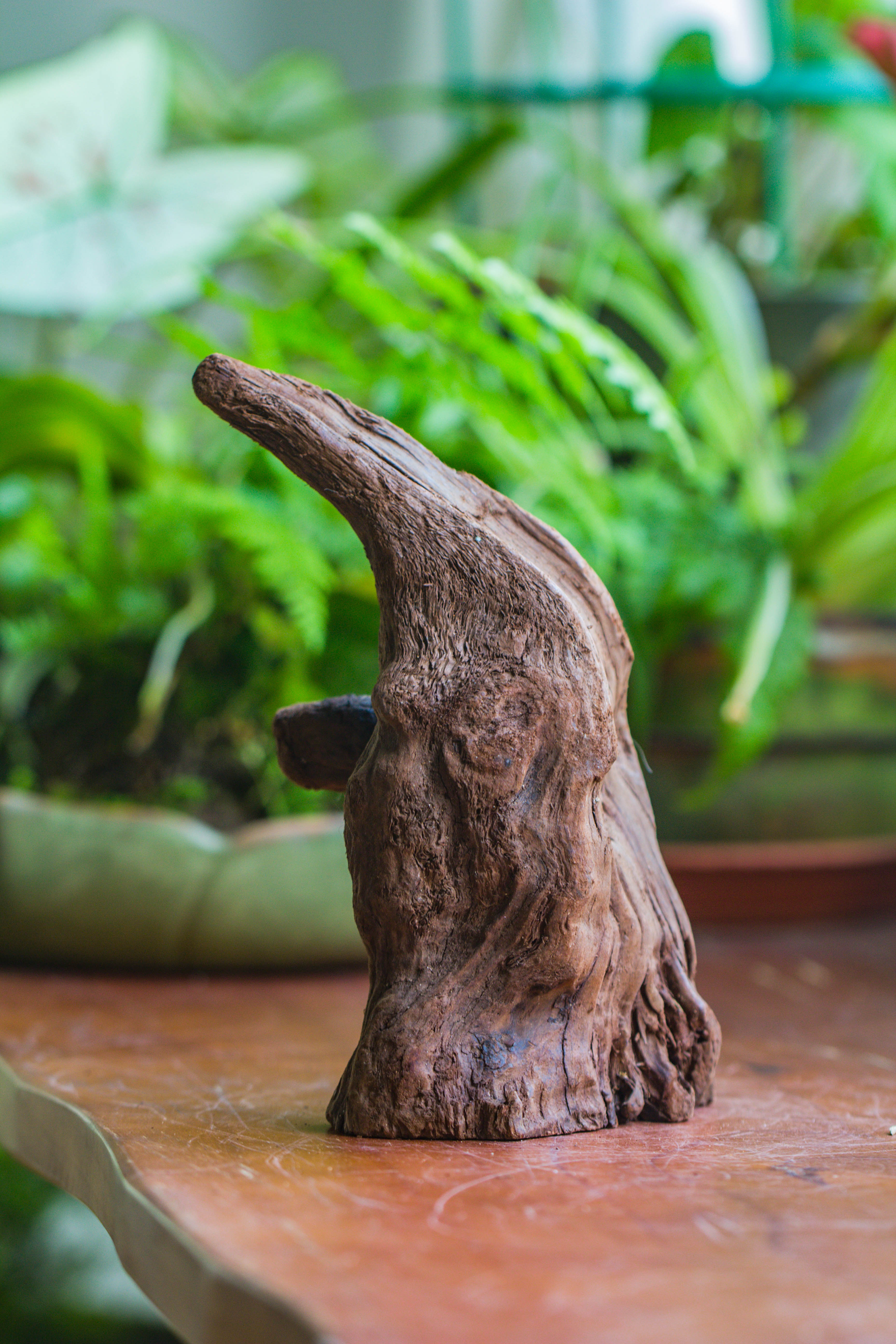 Natural driftwood for moss terrarium, miniature, micro landscape, unique  10-6, suitable for both live and preserved moss - NCYPgarden