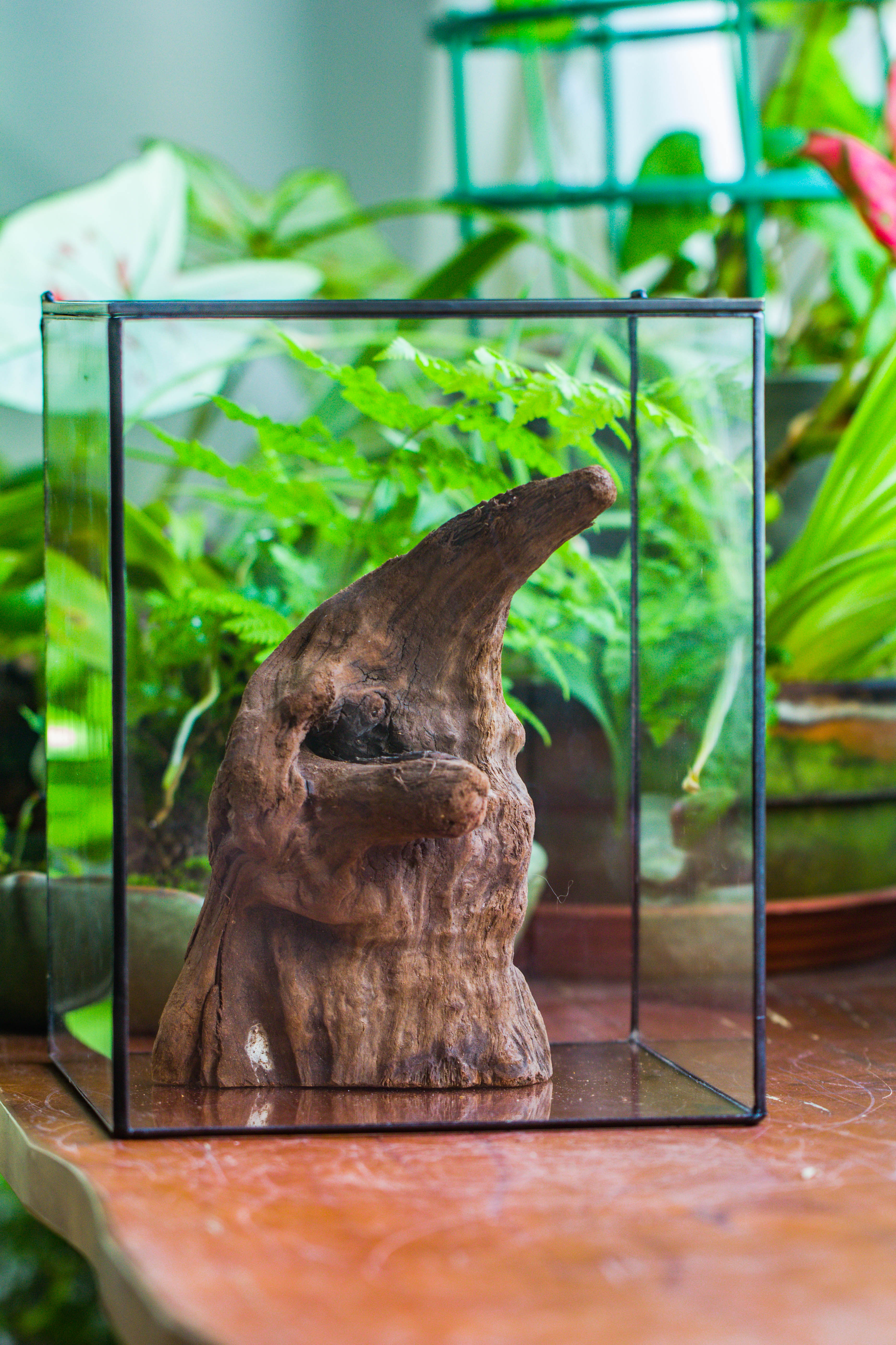 Natural driftwood for moss terrarium, miniature, micro landscape, unique  10-6, suitable for both live and preserved moss - NCYPgarden