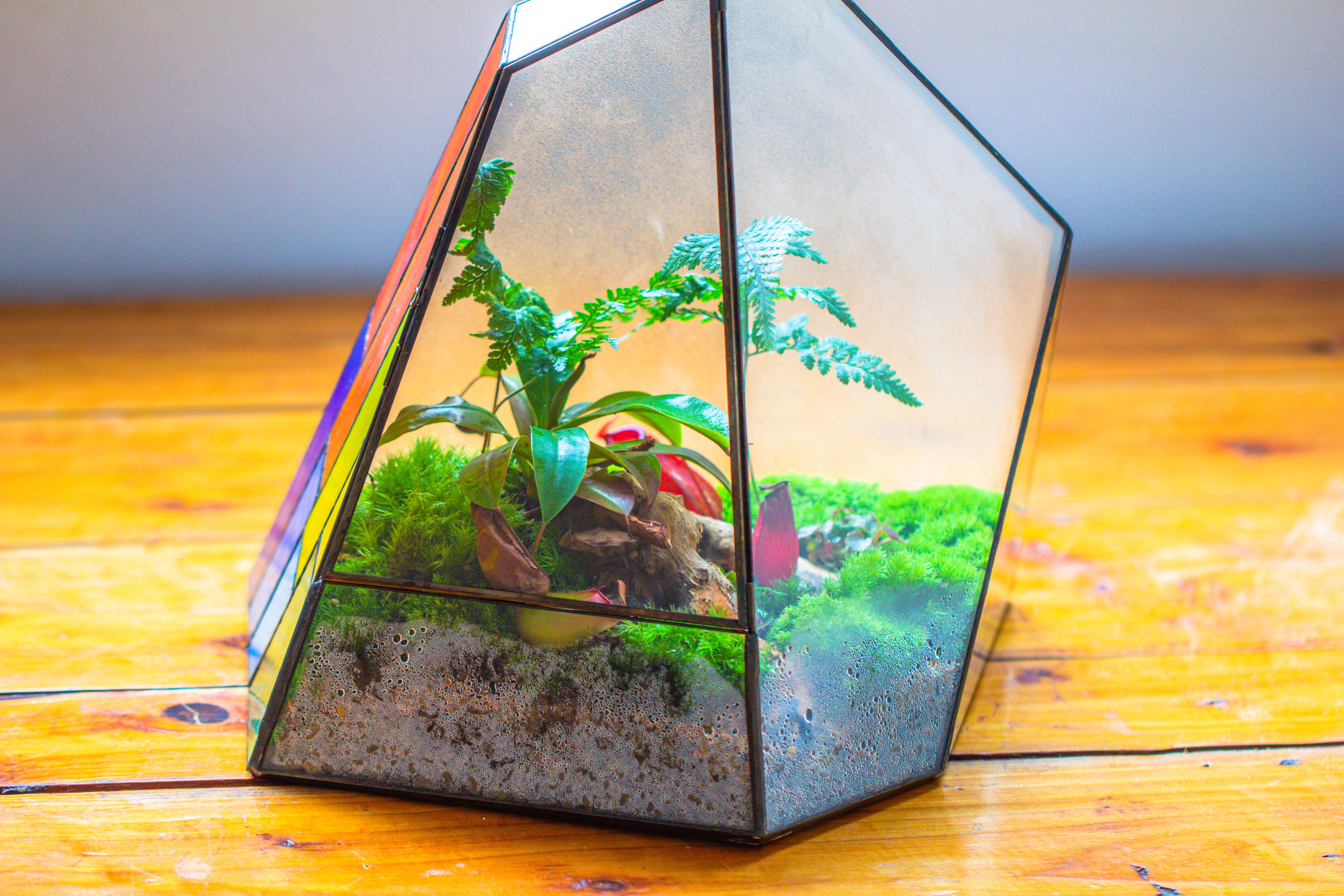 Rainbow Stained Glass Irregular Geometric Ice Peak  Shape Terrarium, Close - NCYPgarden