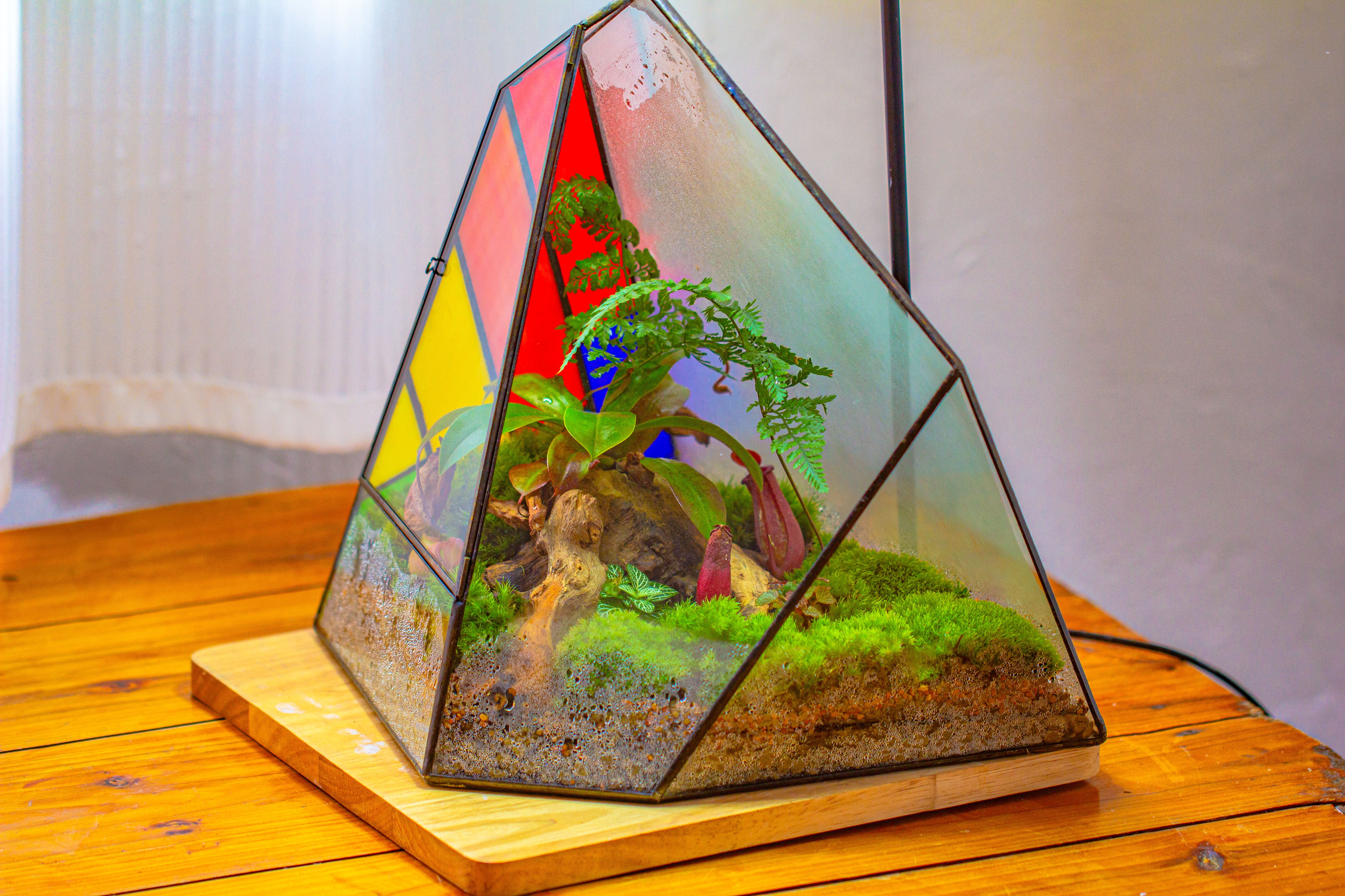 Rainbow Stained Glass Irregular Geometric Ice Peak  Shape Terrarium, Close - NCYPgarden